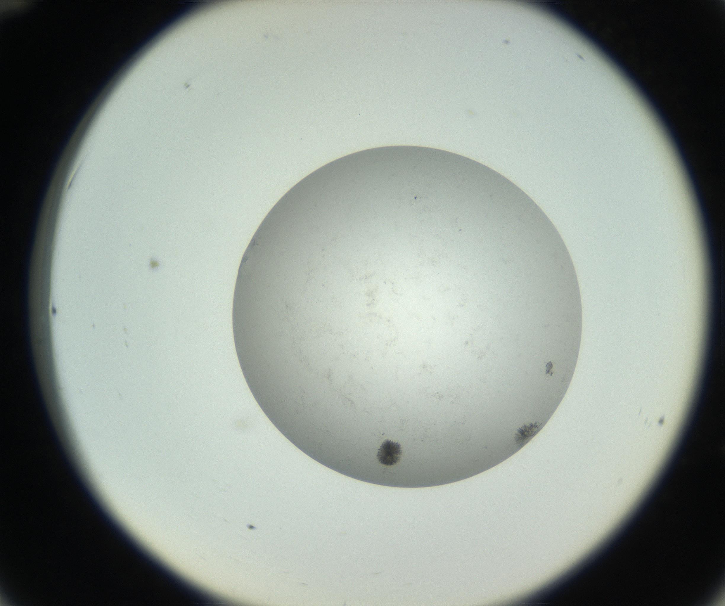 RI01_03_000_0212_Proj1_Clon1_MC_0000MC102779_002_160929_12_03_02_00_99_002_001_RAI.jpg