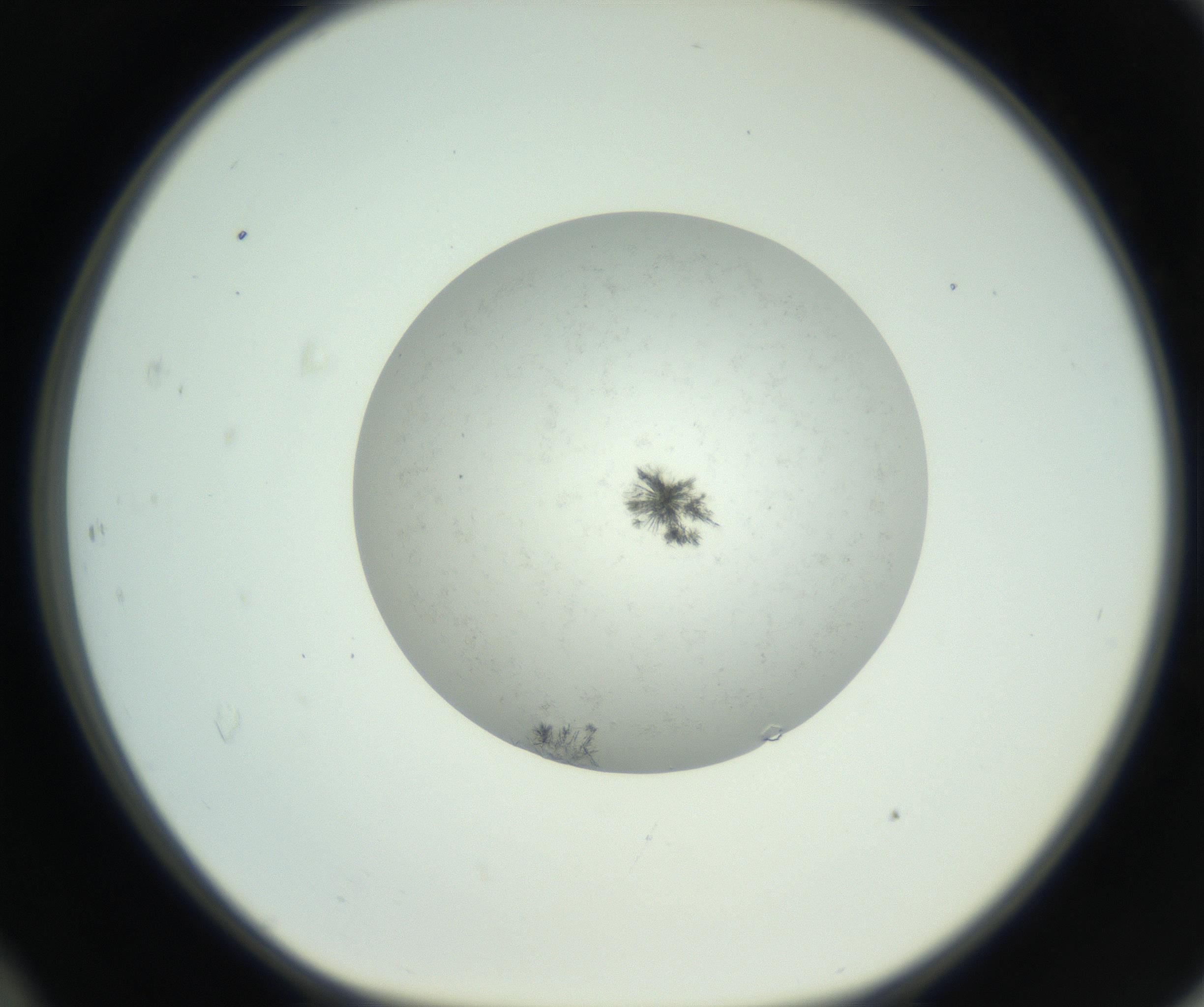 RI01_03_000_0212_Proj1_Clon1_MC_0000MC102779_002_160929_12_04_01_00_99_002_001_RAI.jpg