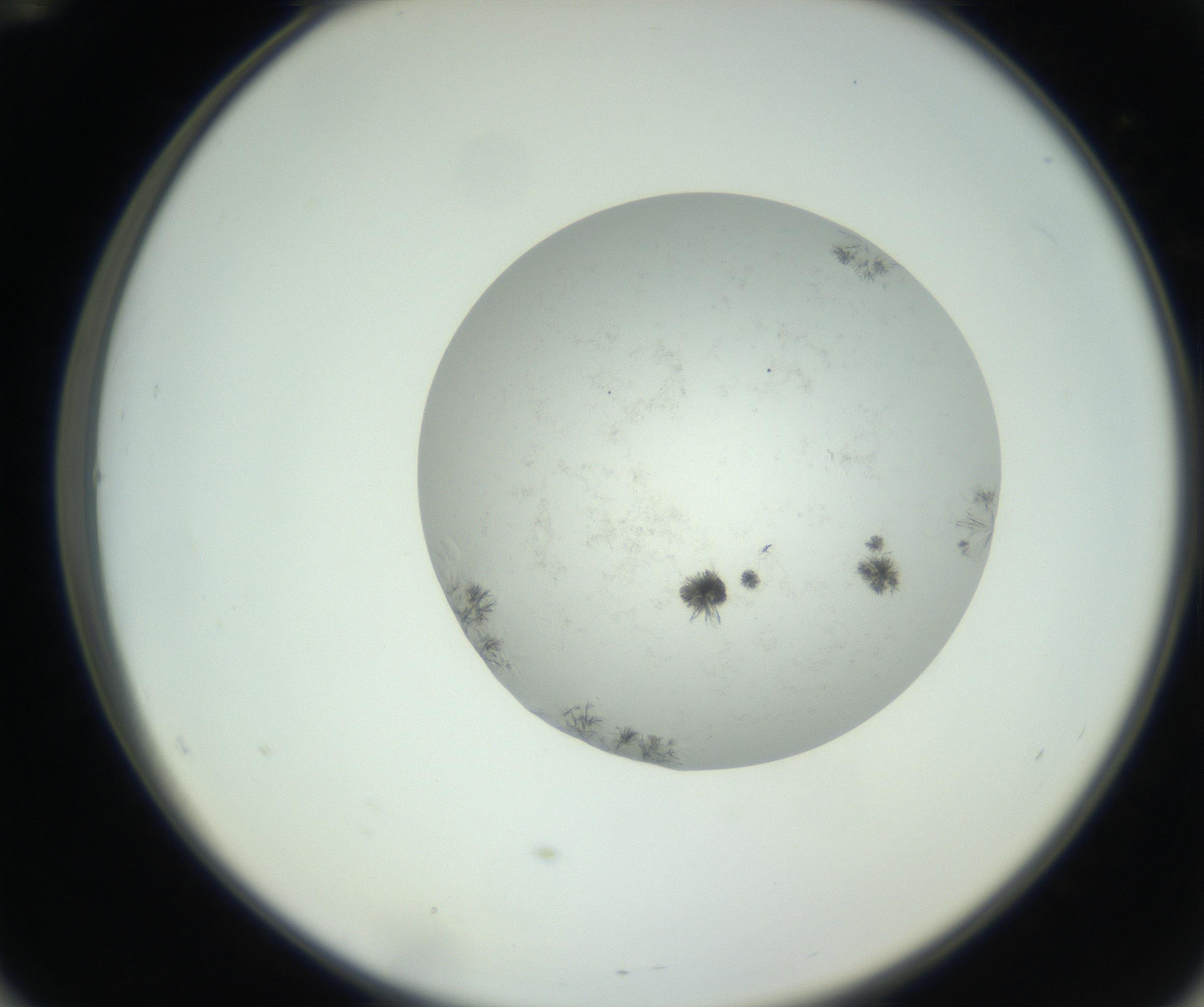 RI01_03_000_0212_Proj1_Clon1_MC_0000MC102779_002_160929_12_05_02_00_99_002_001_RAI.jpg