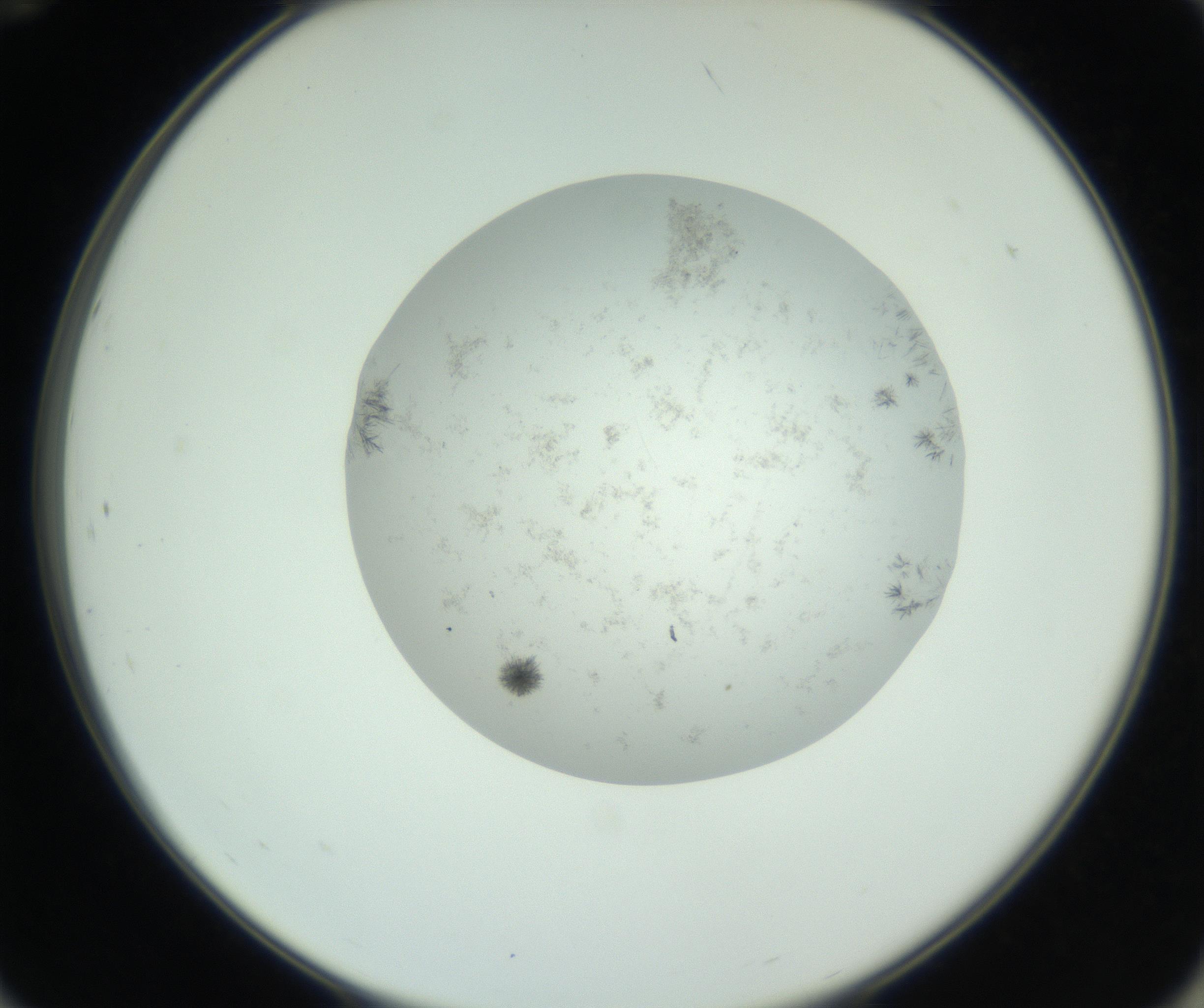 RI01_03_000_0212_Proj1_Clon1_MC_0000MC102779_002_160929_12_07_02_00_99_002_001_RAI.jpg
