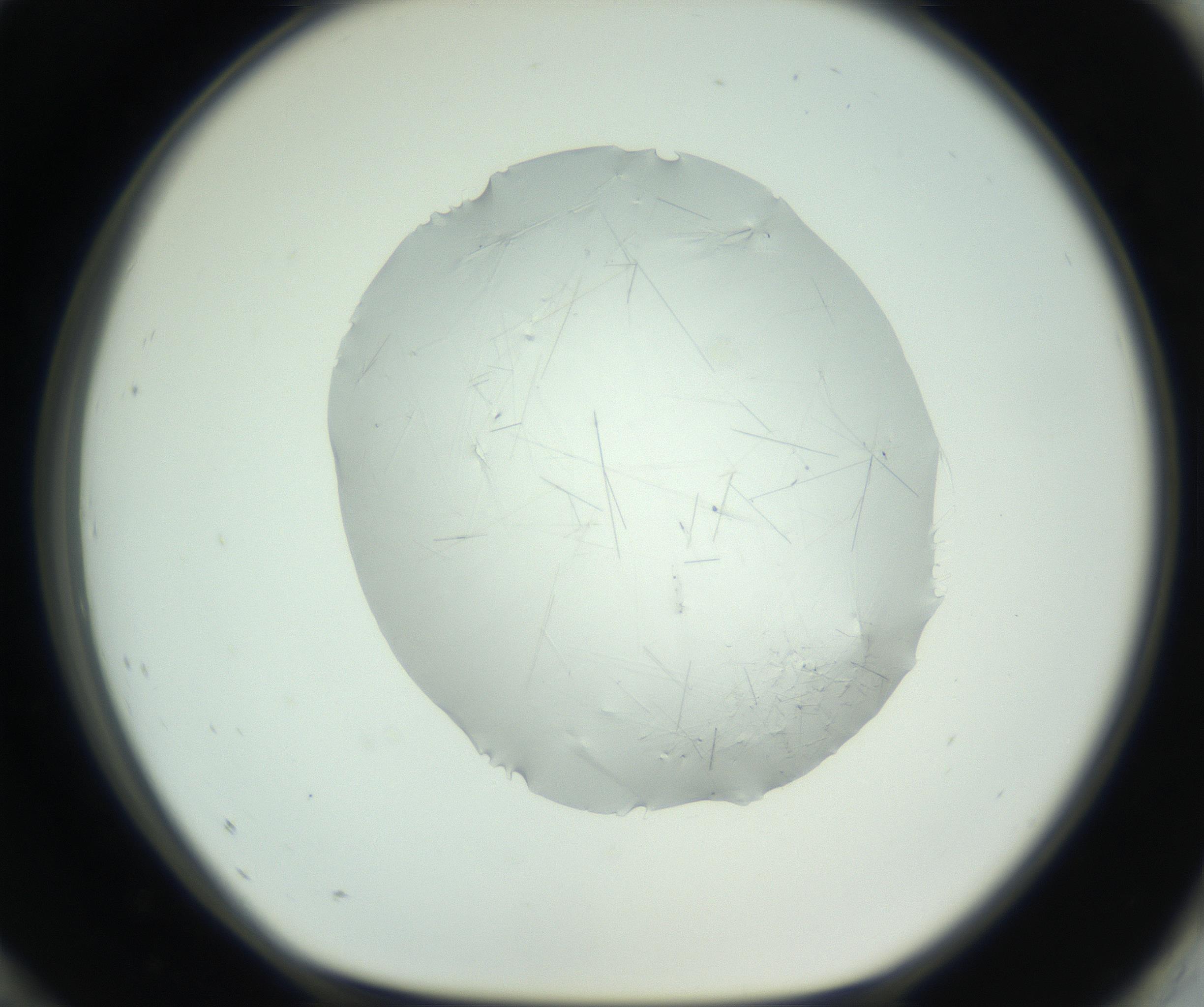 RI01_03_000_0212_Proj1_Clon1_MC_0000MC102779_002_160929_12_08_01_00_99_002_001_RAI.jpg