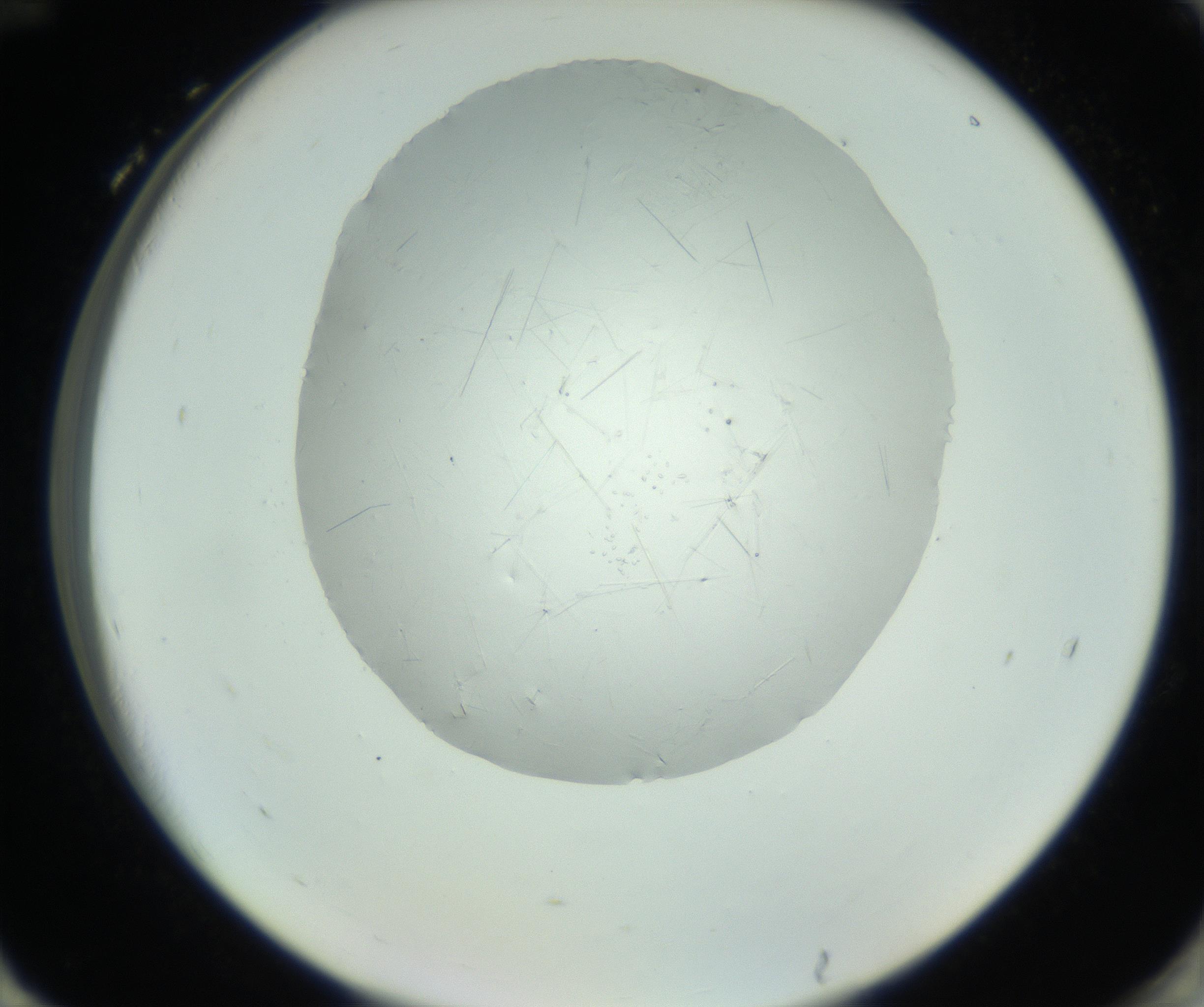 RI01_03_000_0212_Proj1_Clon1_MC_0000MC102779_002_160929_12_08_02_00_99_002_001_RAI.jpg