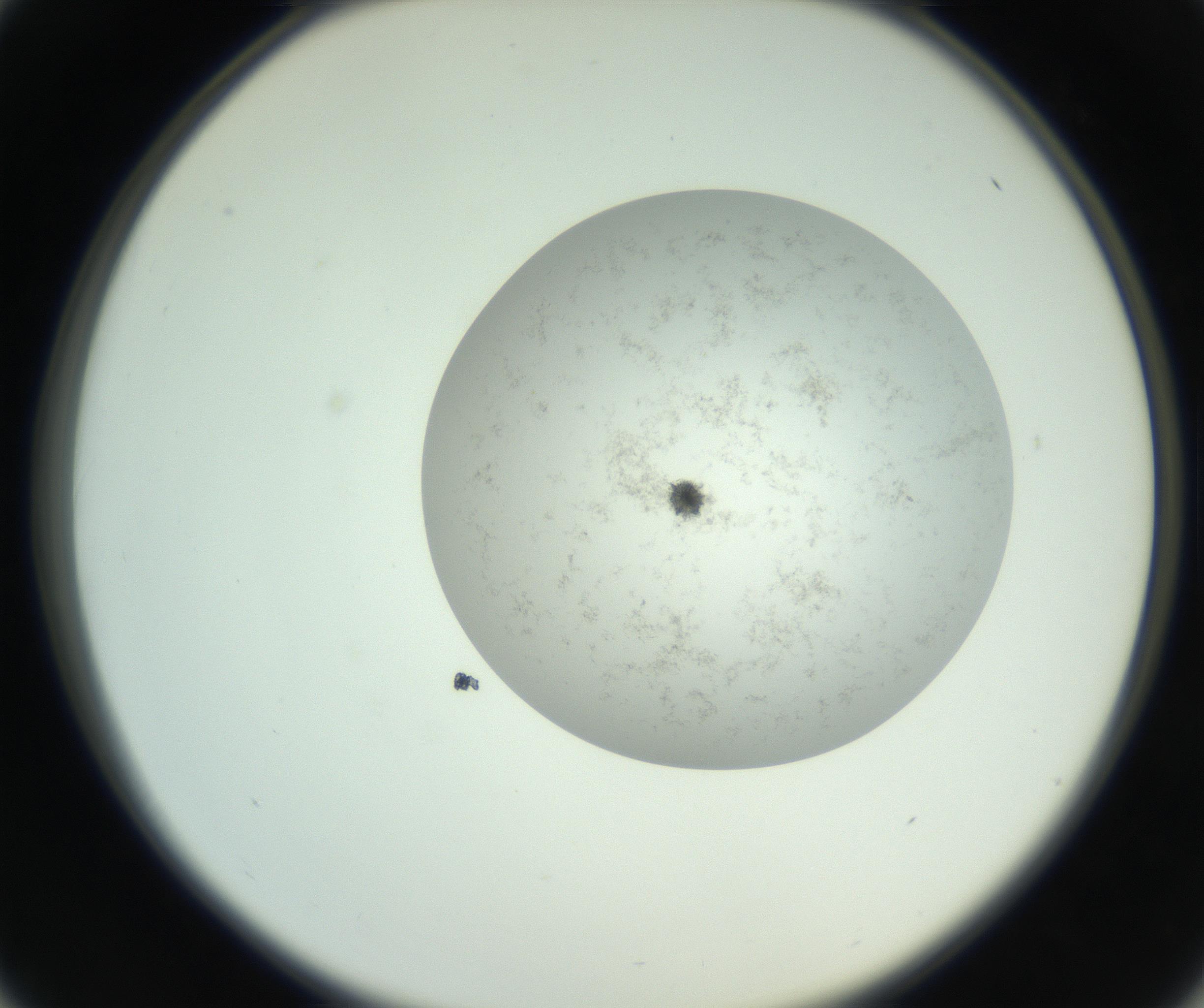RI01_03_000_0212_Proj1_Clon1_MC_0000MC102779_006_161008_01_04_02_00_99_002_001_RAI.jpg