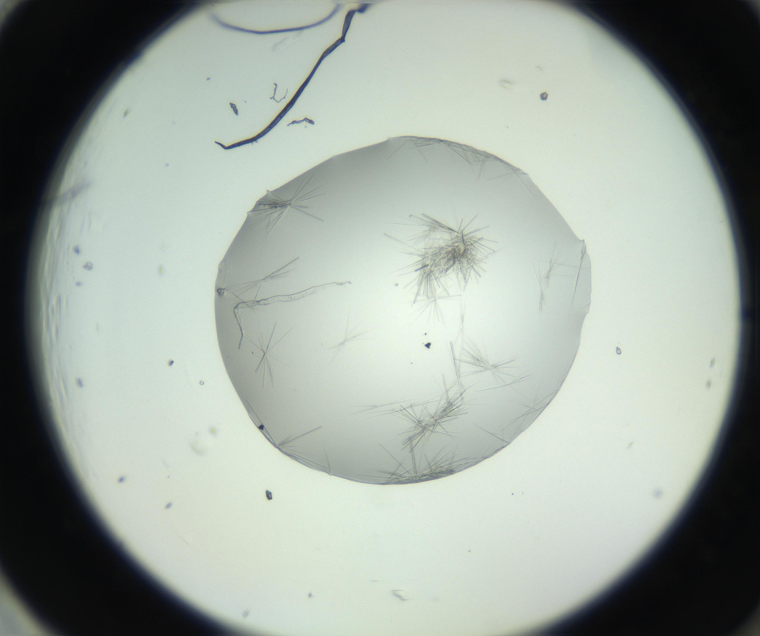 RI01_03_000_0212_Proj1_Clon1_MC_0000MC102798_002_160930_01_08_02_00_99_002_001_RAI.jpg