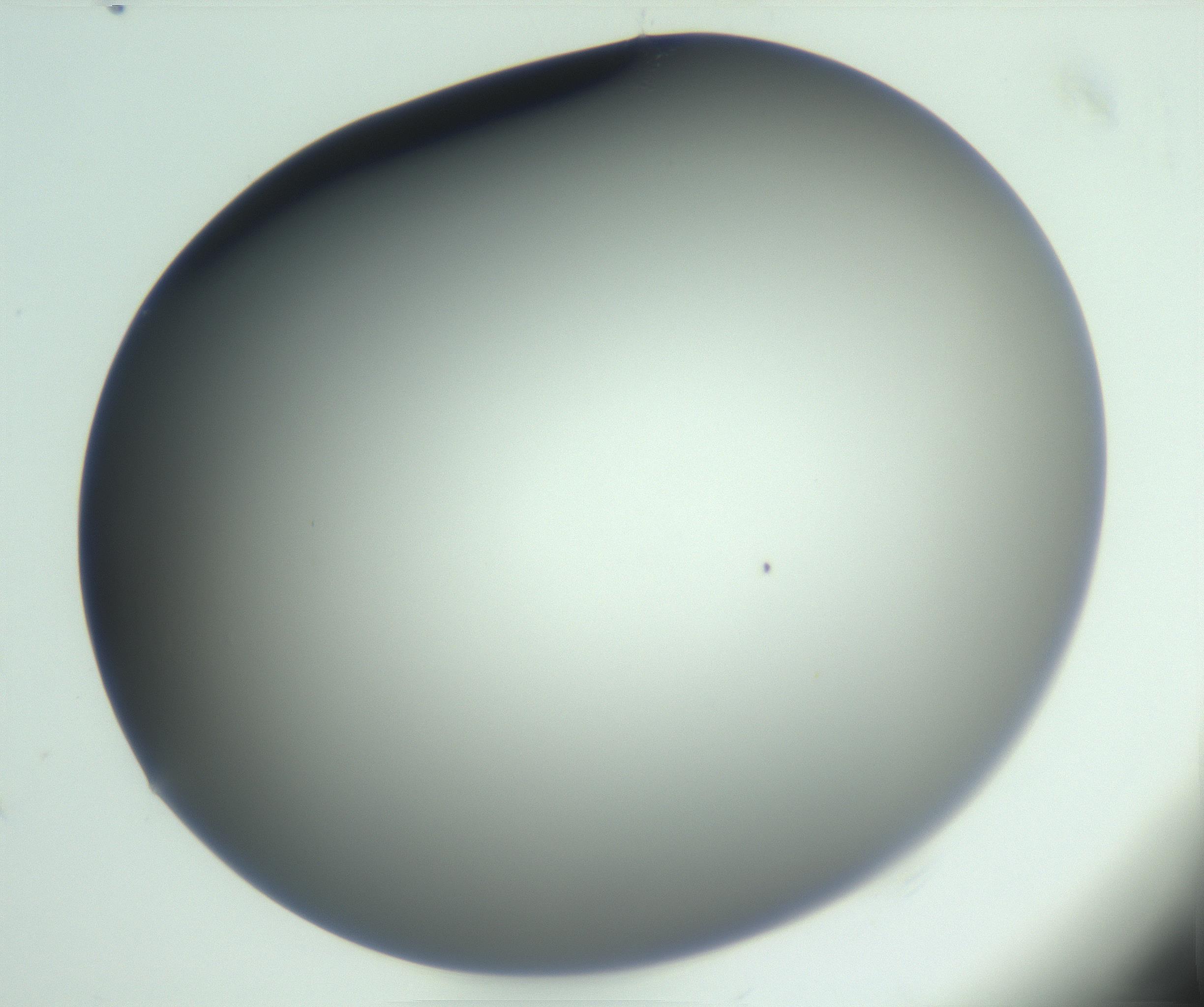 RI01_03_000_0212_Proj1_Clon1_MC_0000MC102799_010_161104_08_05_02_00_99_002_001_RAI.jpg