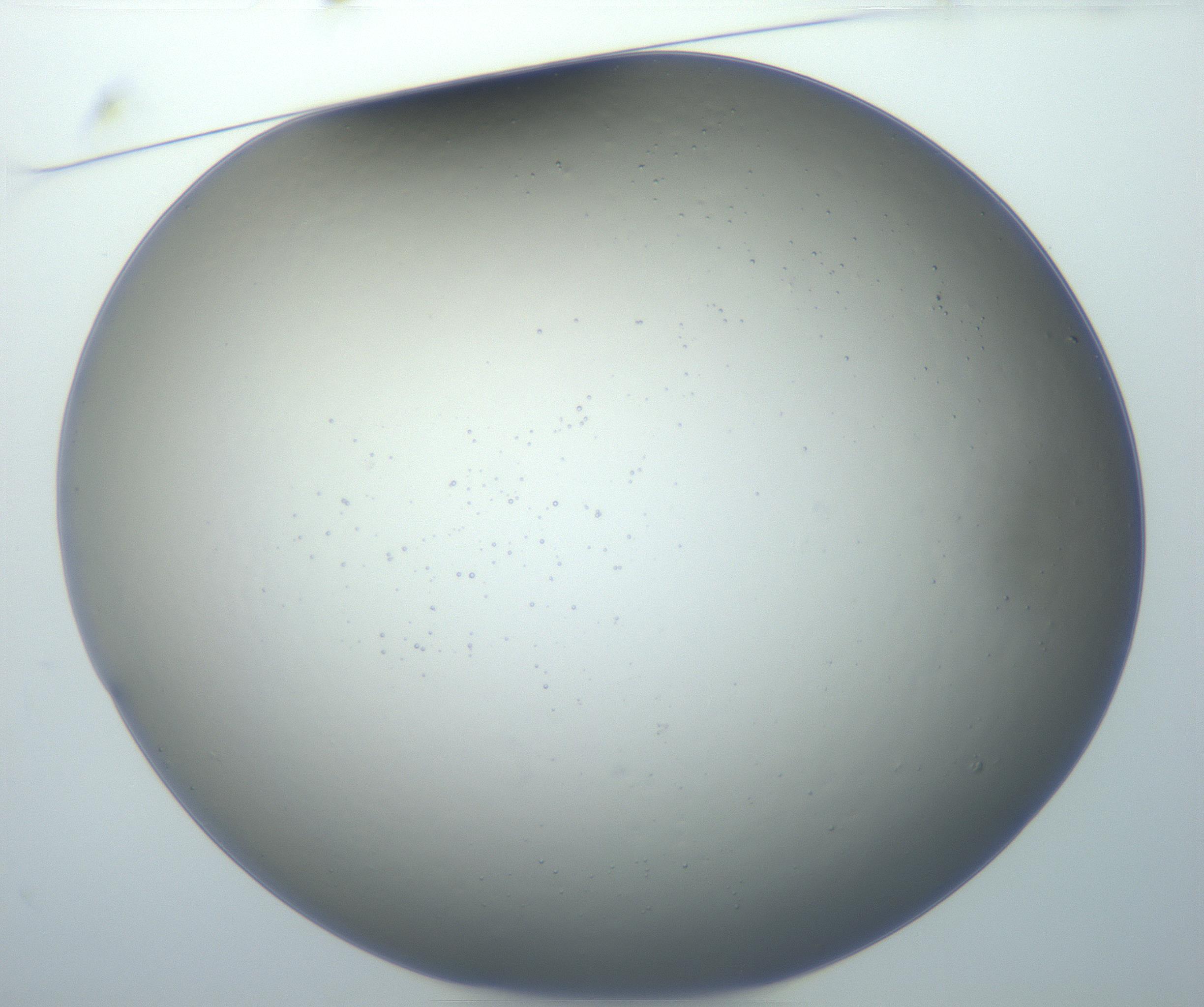 RI01_03_000_0212_Proj1_Clon1_MC_0000MC102801_006_161013_01_01_01_00_99_002_001_RAI.jpg