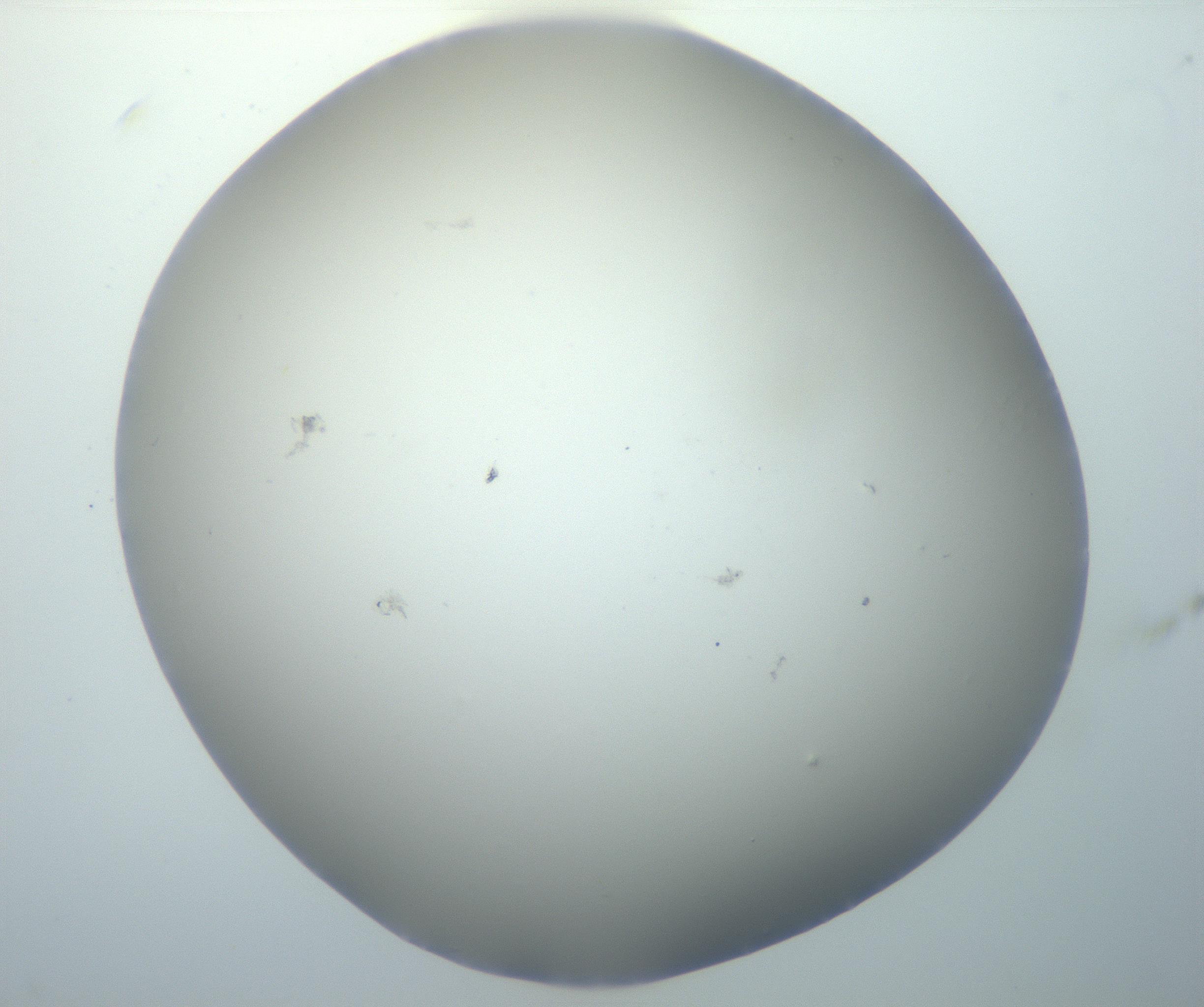 RI01_03_000_0212_Proj1_Clon1_MC_0000MC102801_006_161013_01_04_01_00_99_002_001_RAI.jpg