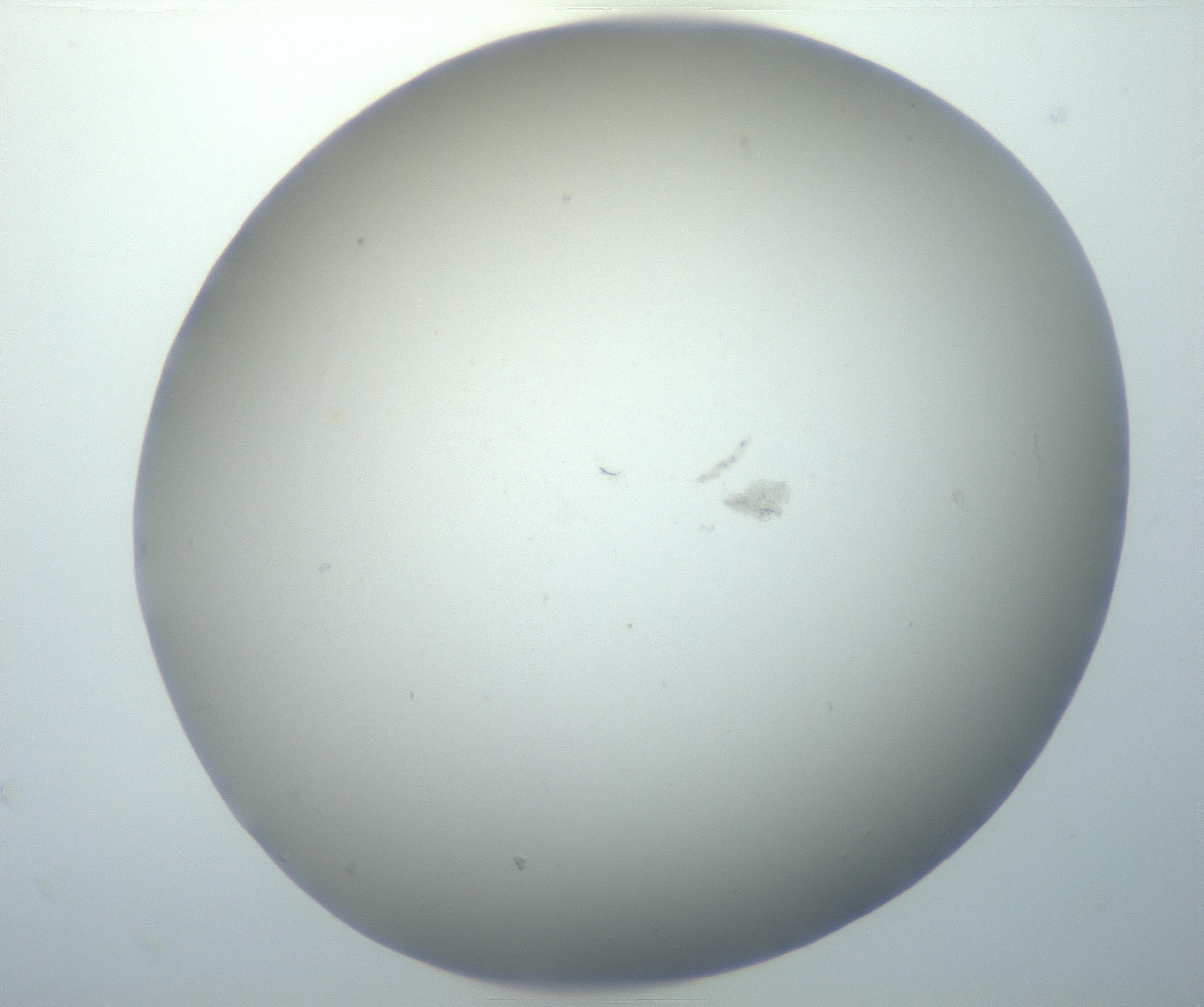 RI01_03_000_0212_Proj1_Clon1_MC_0000MC102801_006_161013_01_04_02_00_99_002_001_RAI.jpg