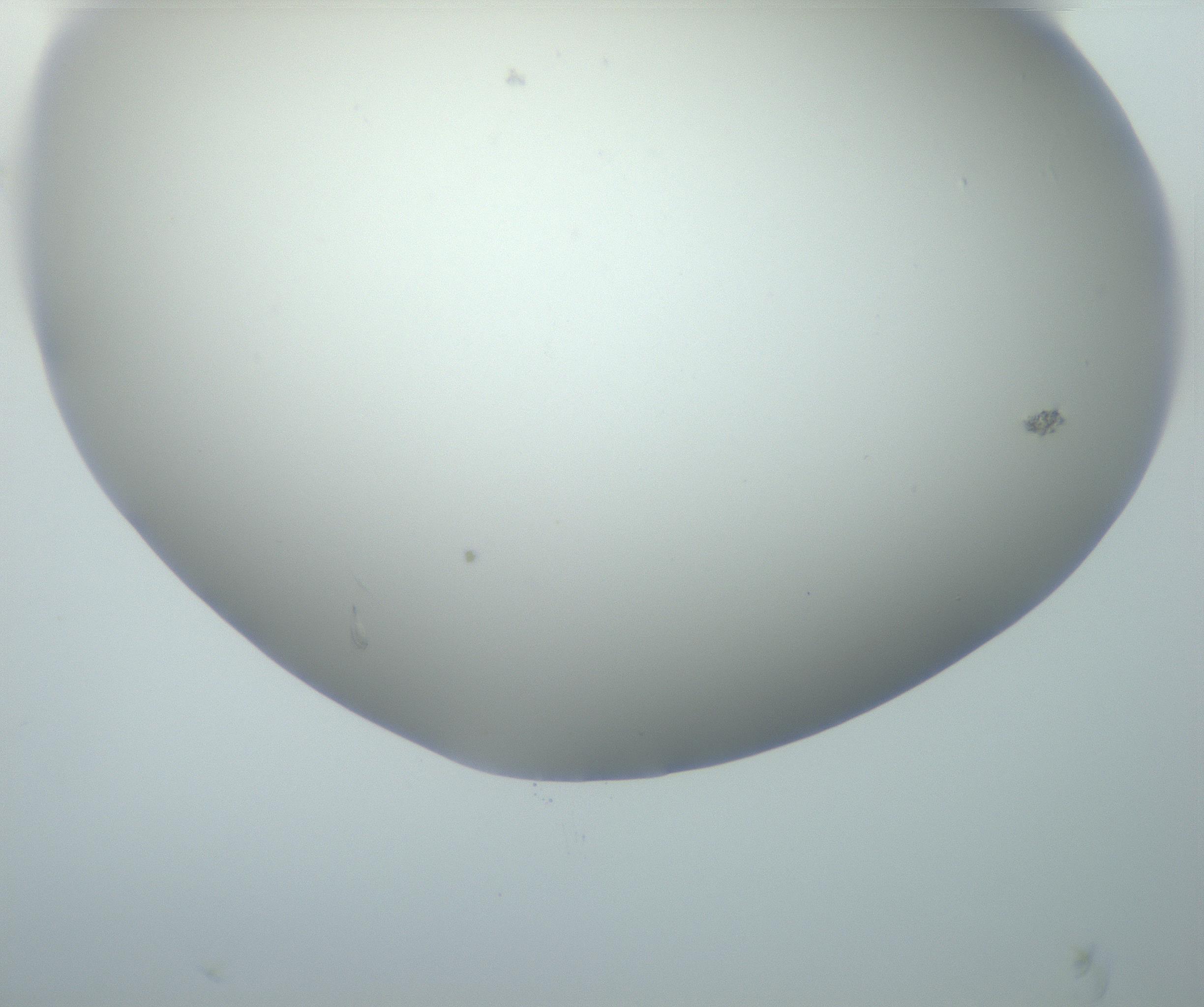 RI01_03_000_0212_Proj1_Clon1_MC_0000MC102801_006_161013_01_05_01_00_99_002_001_RAI.jpg