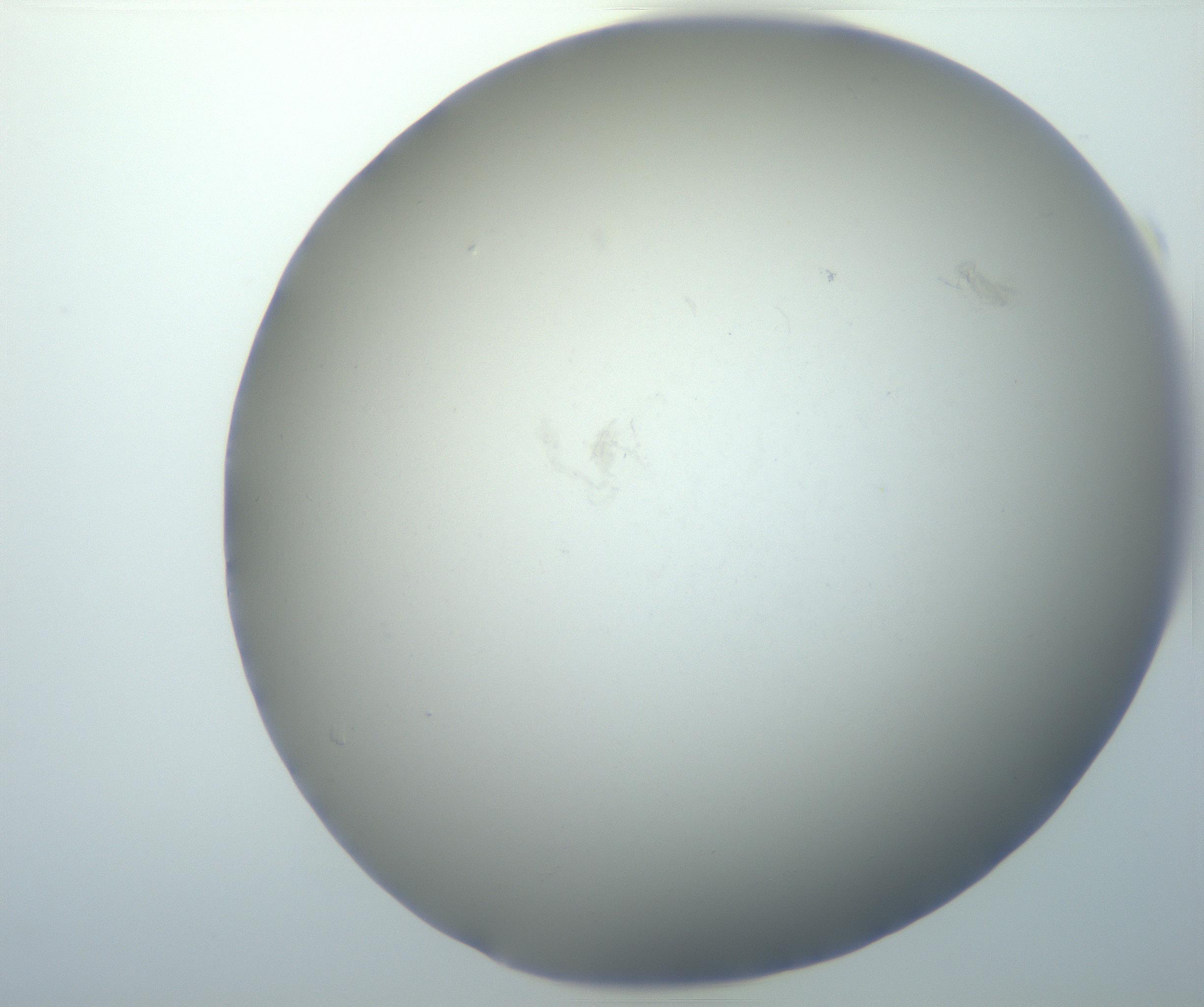 RI01_03_000_0212_Proj1_Clon1_MC_0000MC102801_006_161013_01_05_02_00_99_002_001_RAI.jpg