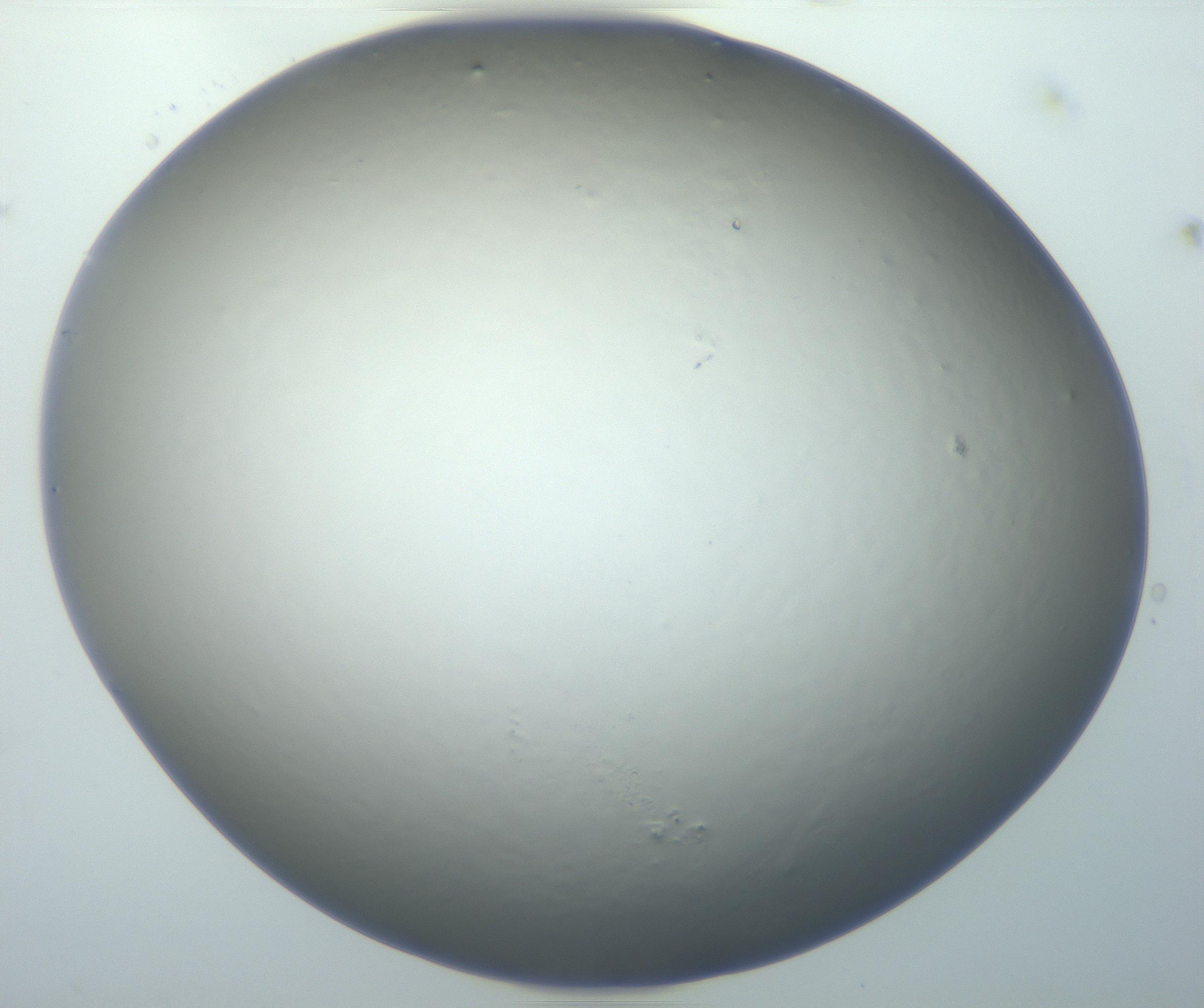 RI01_03_000_0212_Proj1_Clon1_MC_0000MC102801_006_161013_01_07_01_00_99_002_001_RAI.jpg