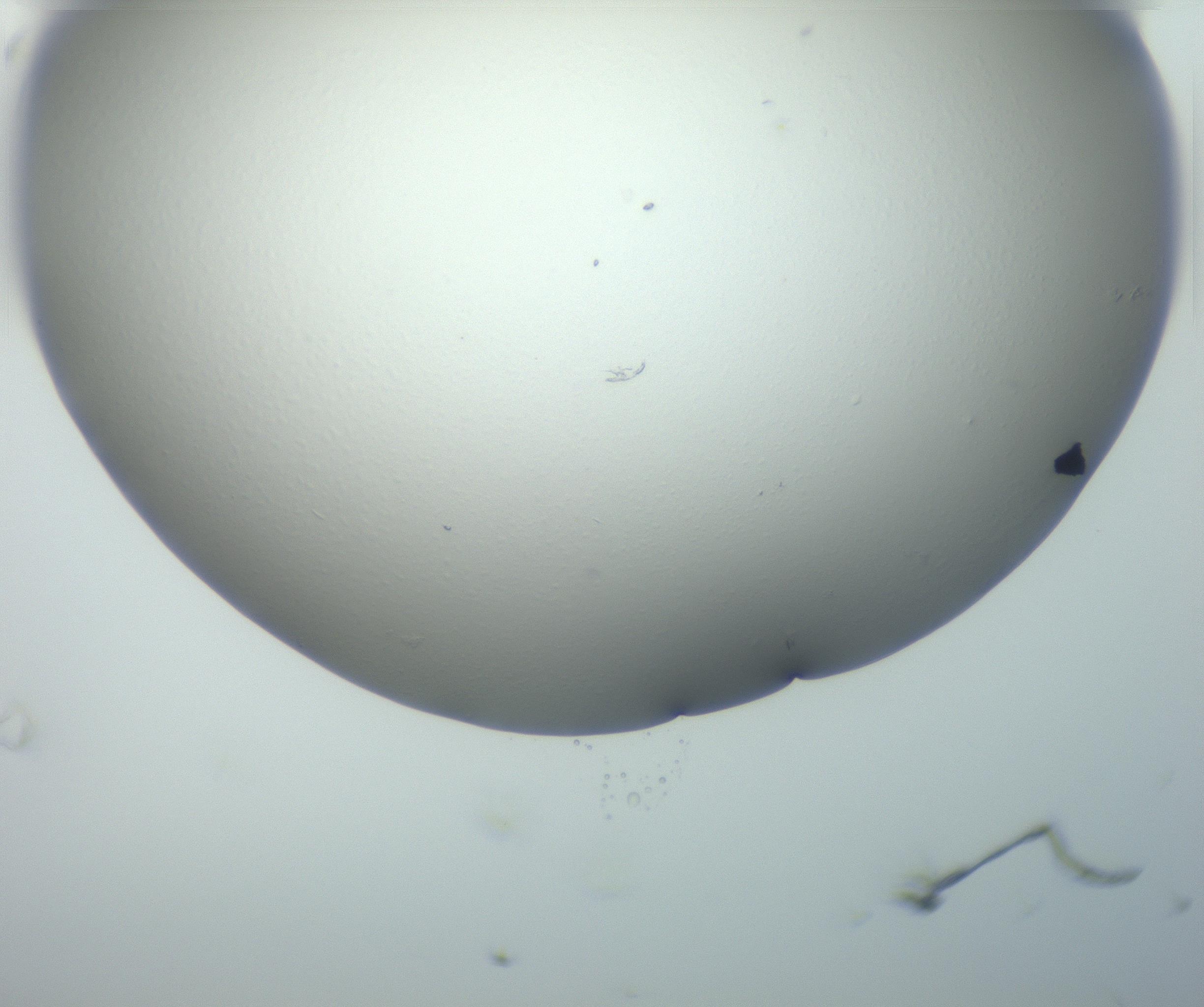 RI01_03_000_0212_Proj1_Clon1_MC_0000MC102801_006_161013_01_08_02_00_99_002_001_RAI.jpg