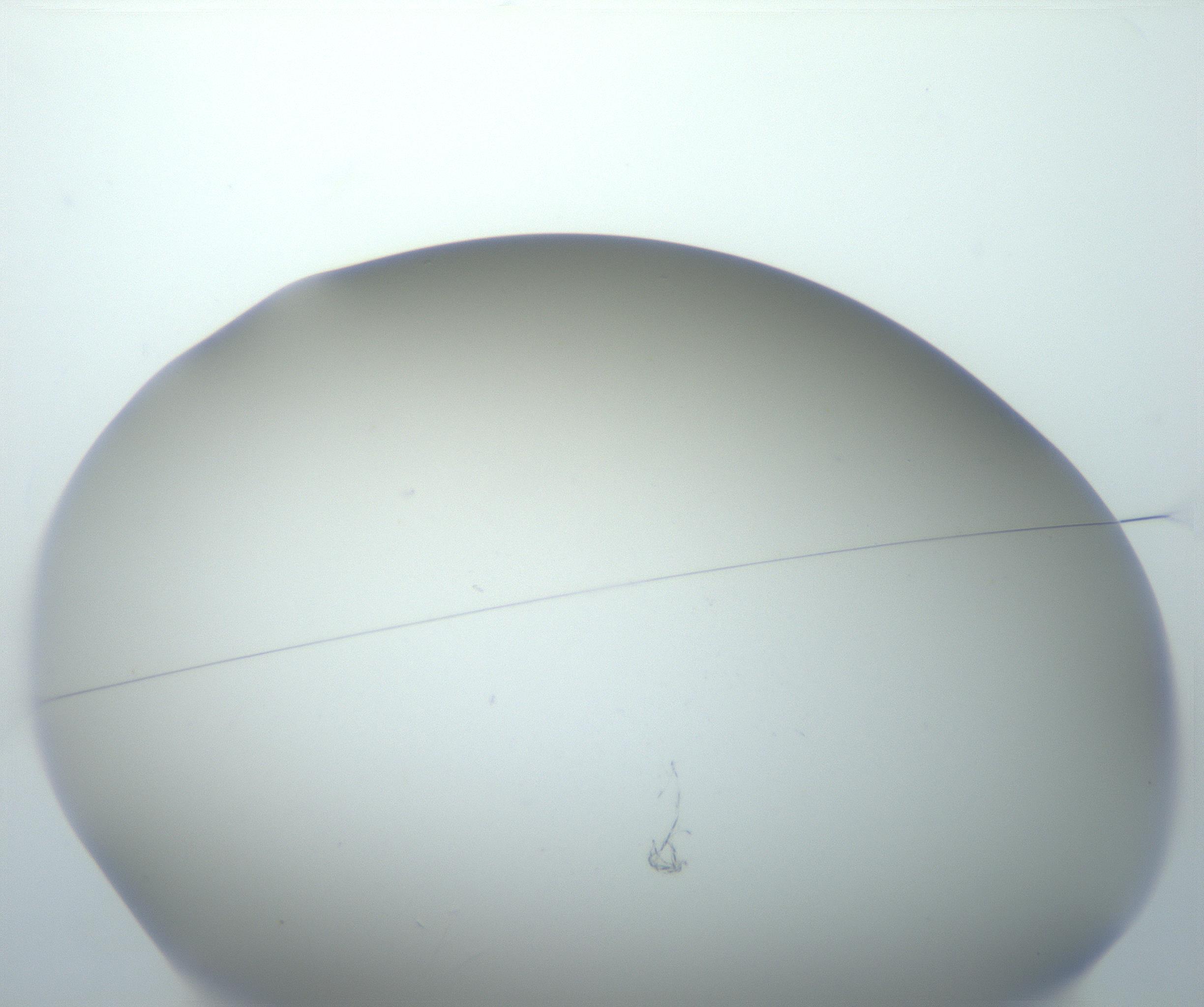 RI01_03_000_0212_Proj1_Clon1_MC_0000MC102801_006_161013_02_01_01_00_99_002_001_RAI.jpg