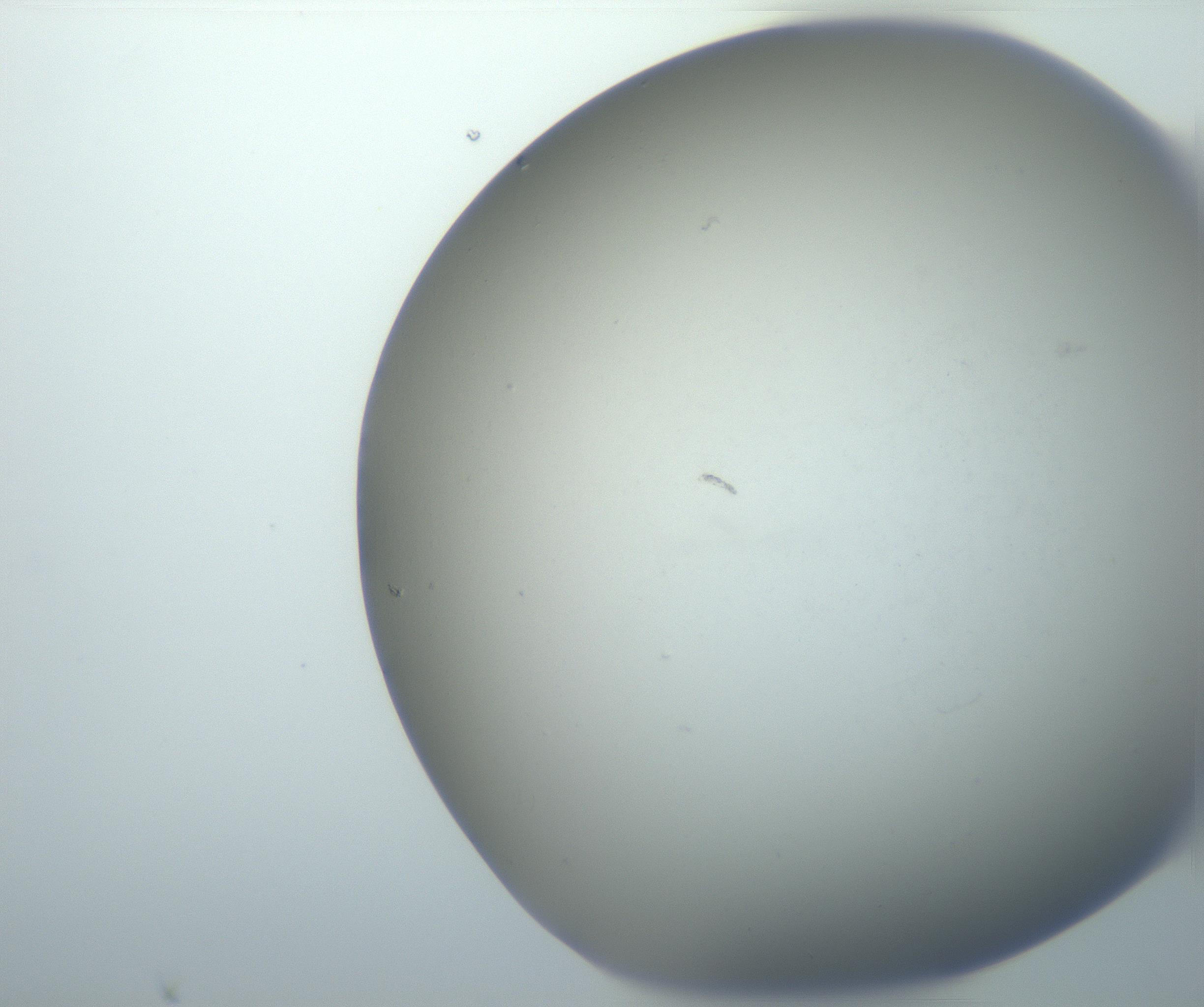 RI01_03_000_0212_Proj1_Clon1_MC_0000MC102801_006_161013_02_01_02_00_99_002_001_RAI.jpg