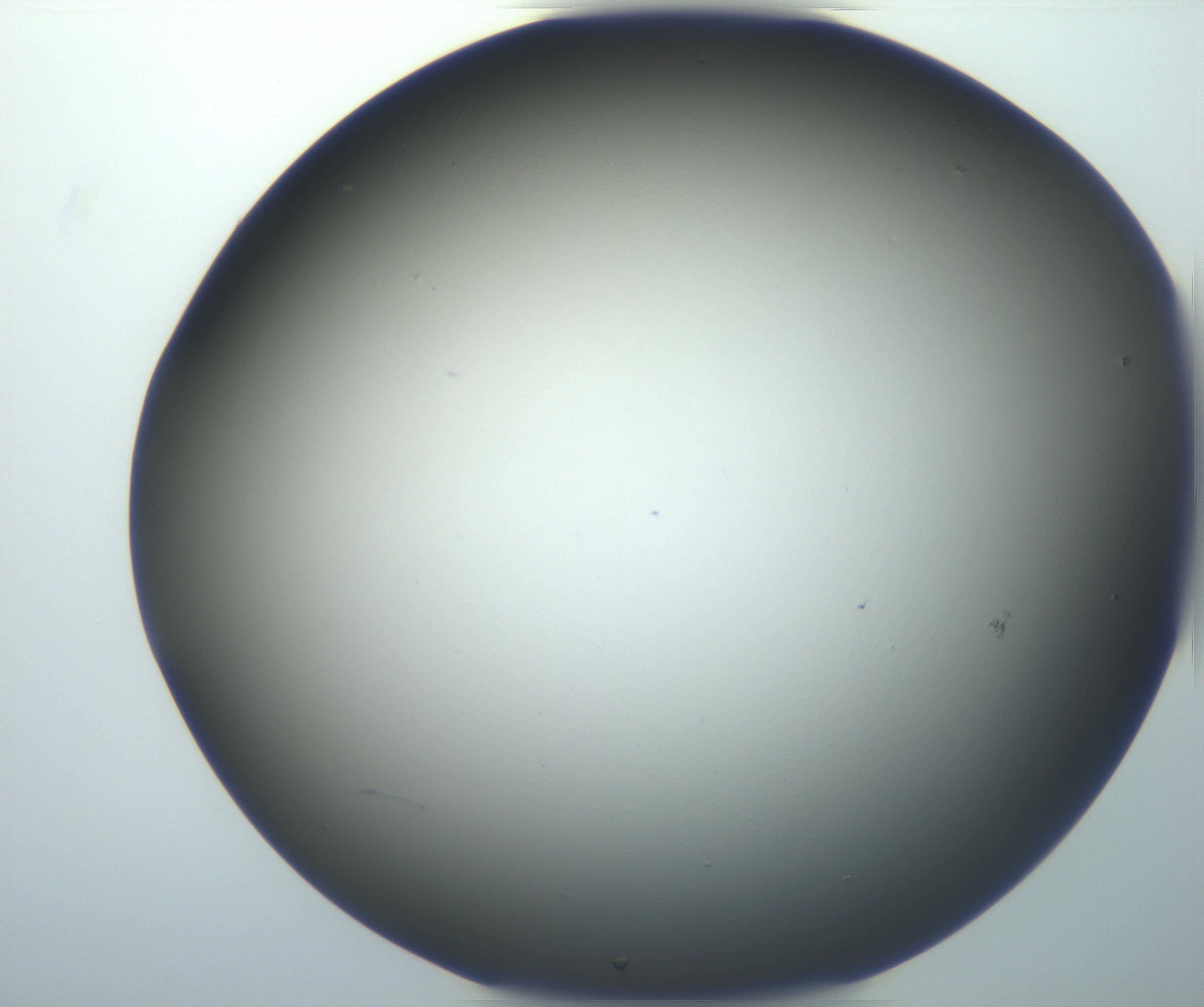 RI01_03_000_0212_Proj1_Clon1_MC_0000MC102801_006_161013_02_02_01_00_99_002_001_RAI.jpg
