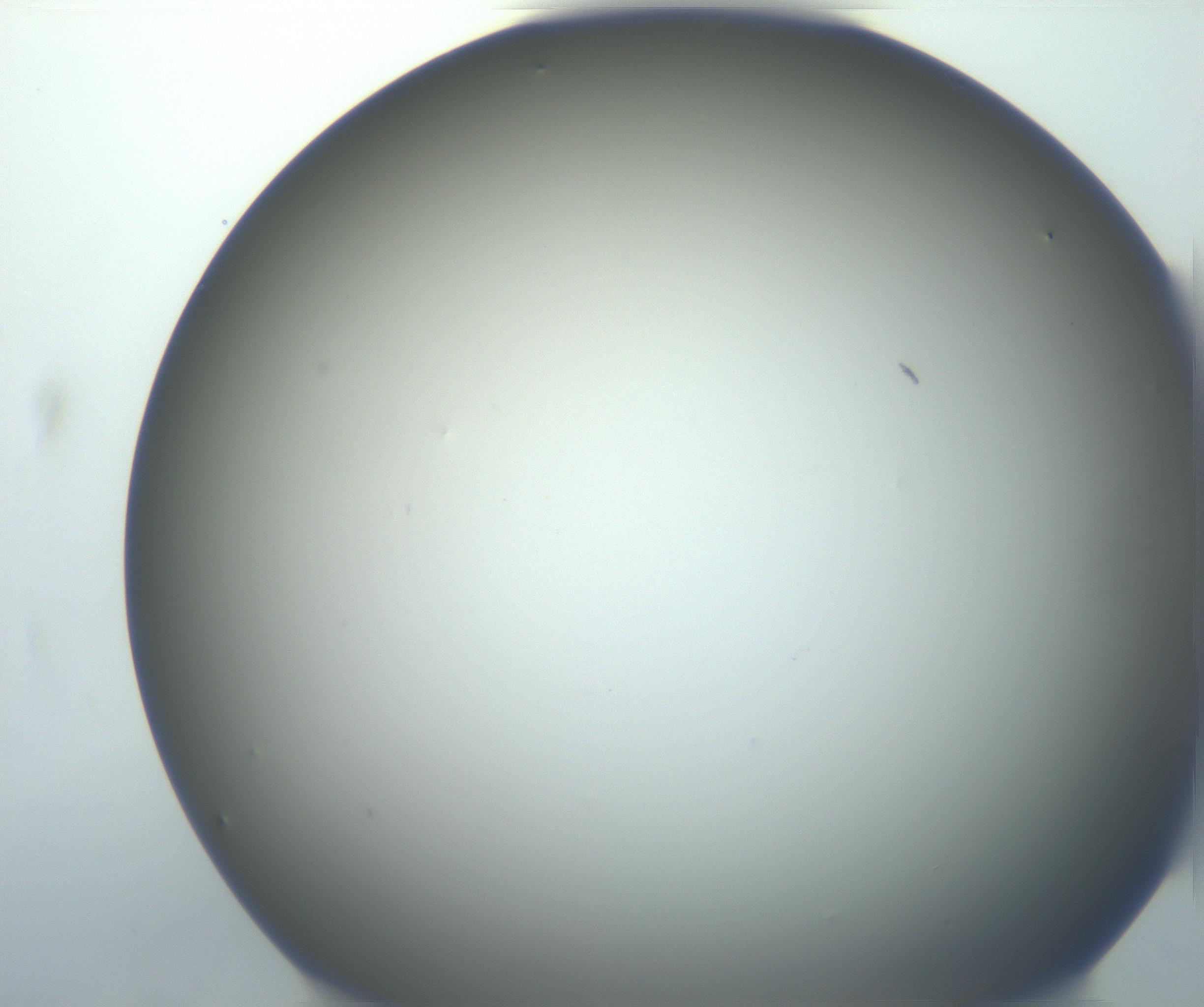 RI01_03_000_0212_Proj1_Clon1_MC_0000MC102801_006_161013_02_02_02_00_99_002_001_RAI.jpg
