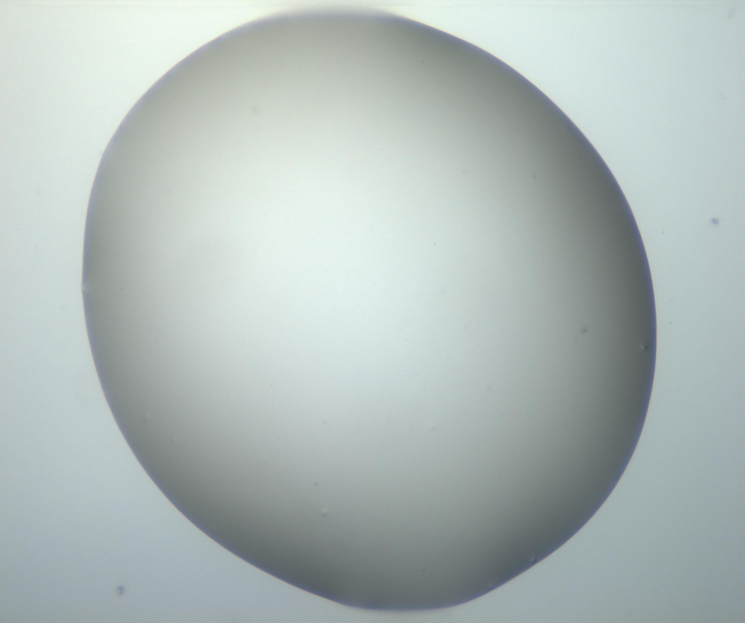 RI01_03_000_0212_Proj1_Clon1_MC_0000MC102801_006_161013_02_03_01_00_99_002_001_RAI.jpg