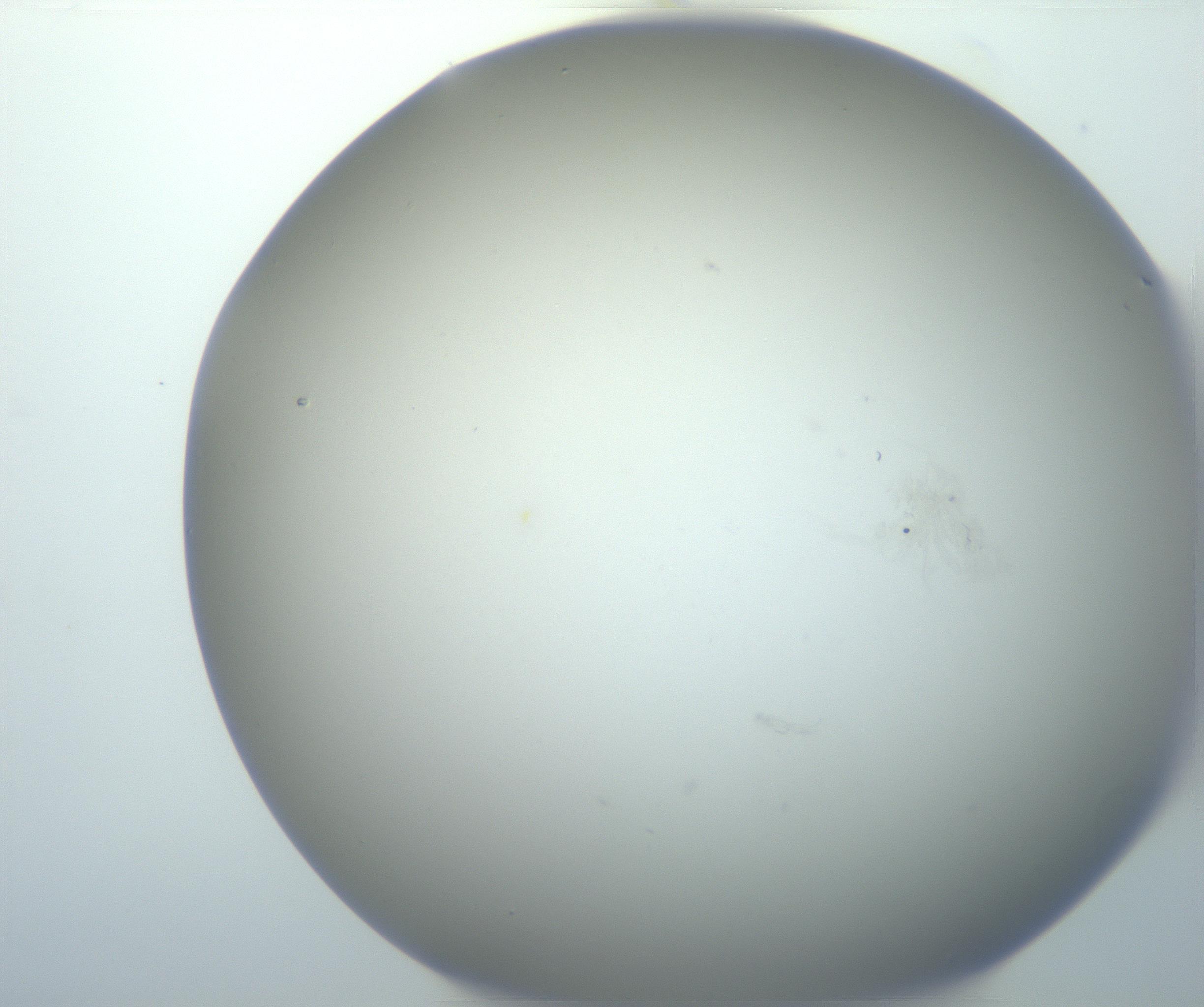 RI01_03_000_0212_Proj1_Clon1_MC_0000MC102801_006_161013_02_03_02_00_99_002_001_RAI.jpg