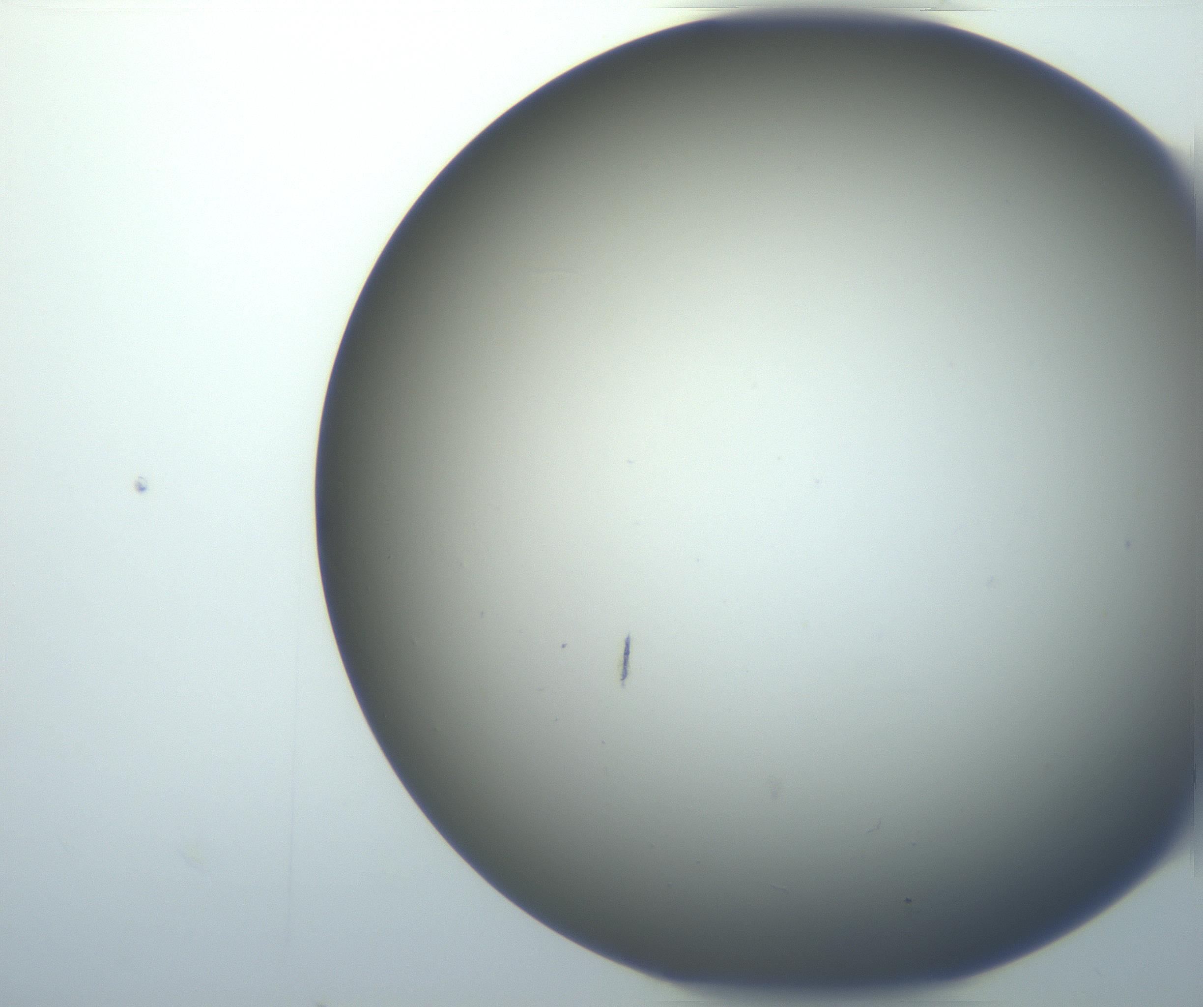 RI01_03_000_0212_Proj1_Clon1_MC_0000MC102801_006_161013_02_05_02_00_99_002_001_RAI.jpg