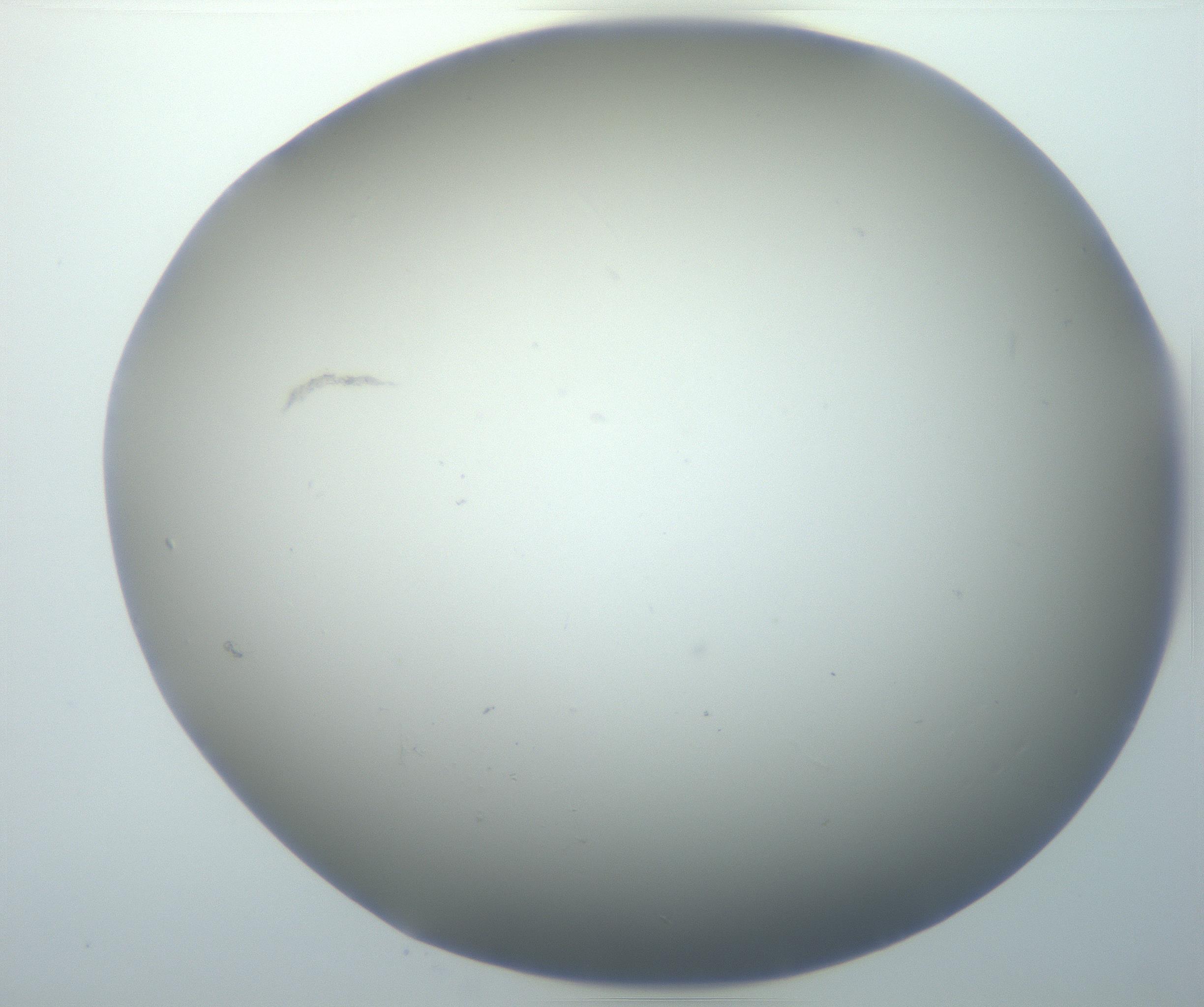 RI01_03_000_0212_Proj1_Clon1_MC_0000MC102801_006_161013_02_07_01_00_99_002_001_RAI.jpg