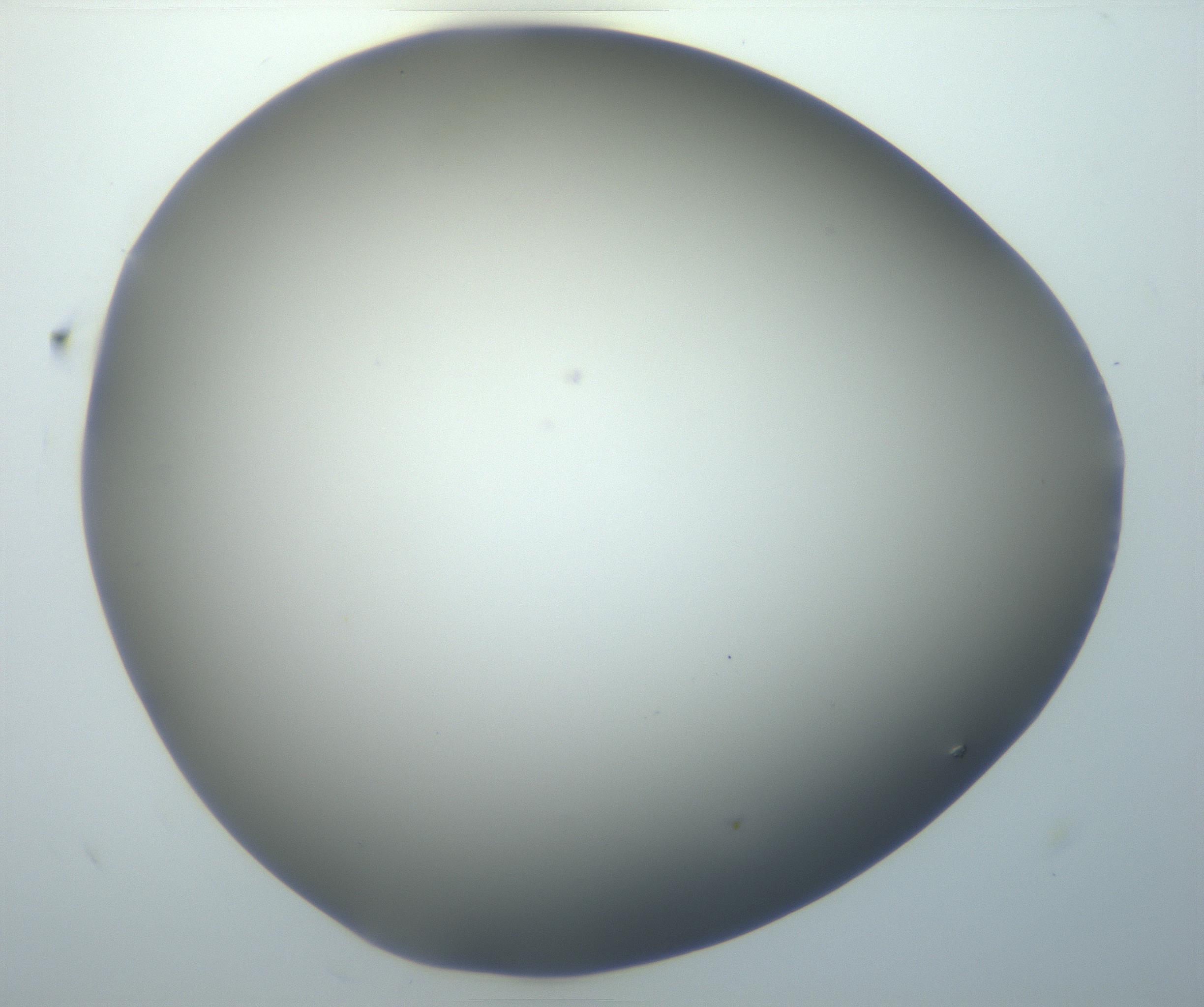 RI01_03_000_0212_Proj1_Clon1_MC_0000MC102801_006_161013_02_07_02_00_99_002_001_RAI.jpg