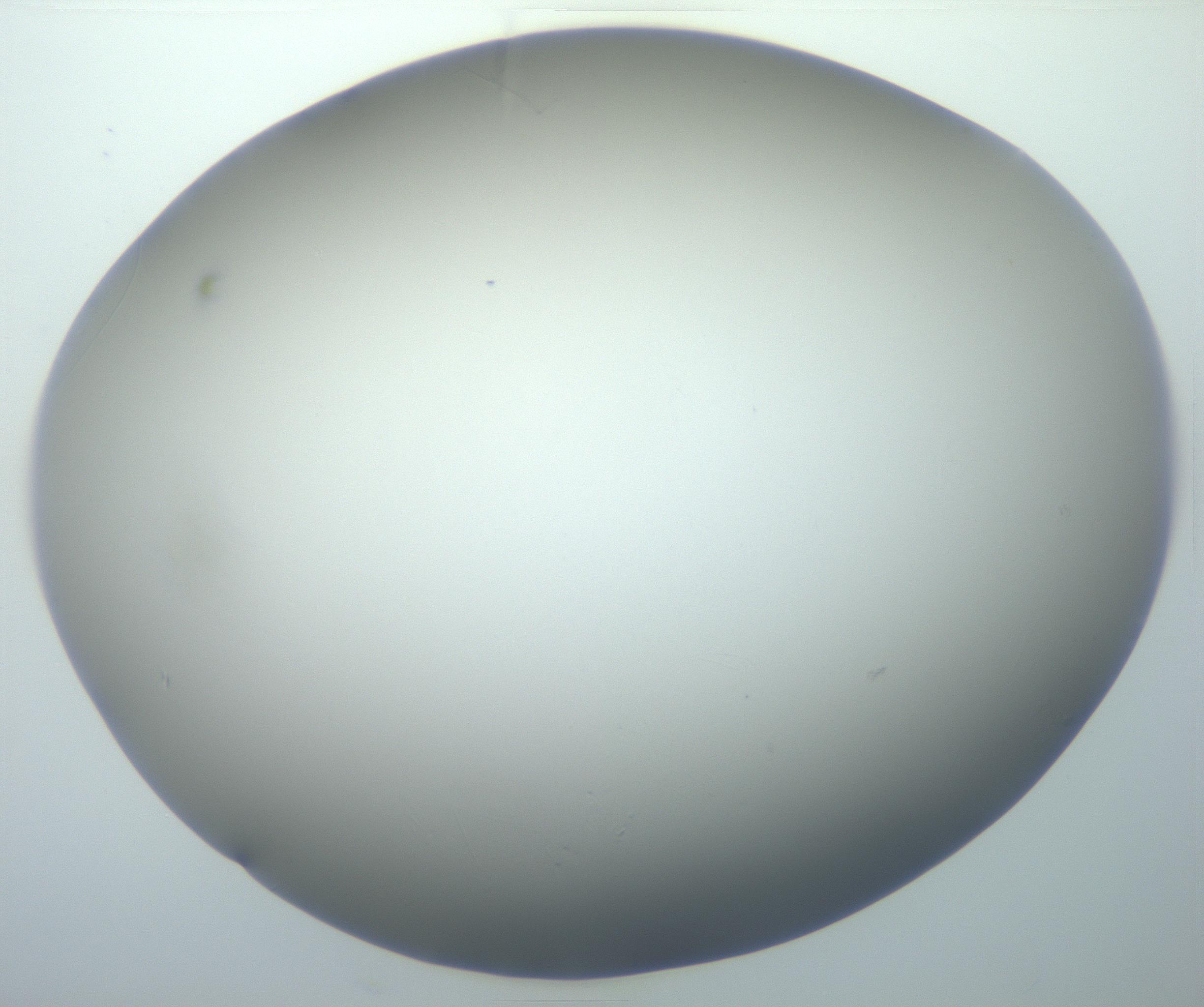 RI01_03_000_0212_Proj1_Clon1_MC_0000MC102801_006_161013_02_08_02_00_99_002_001_RAI.jpg