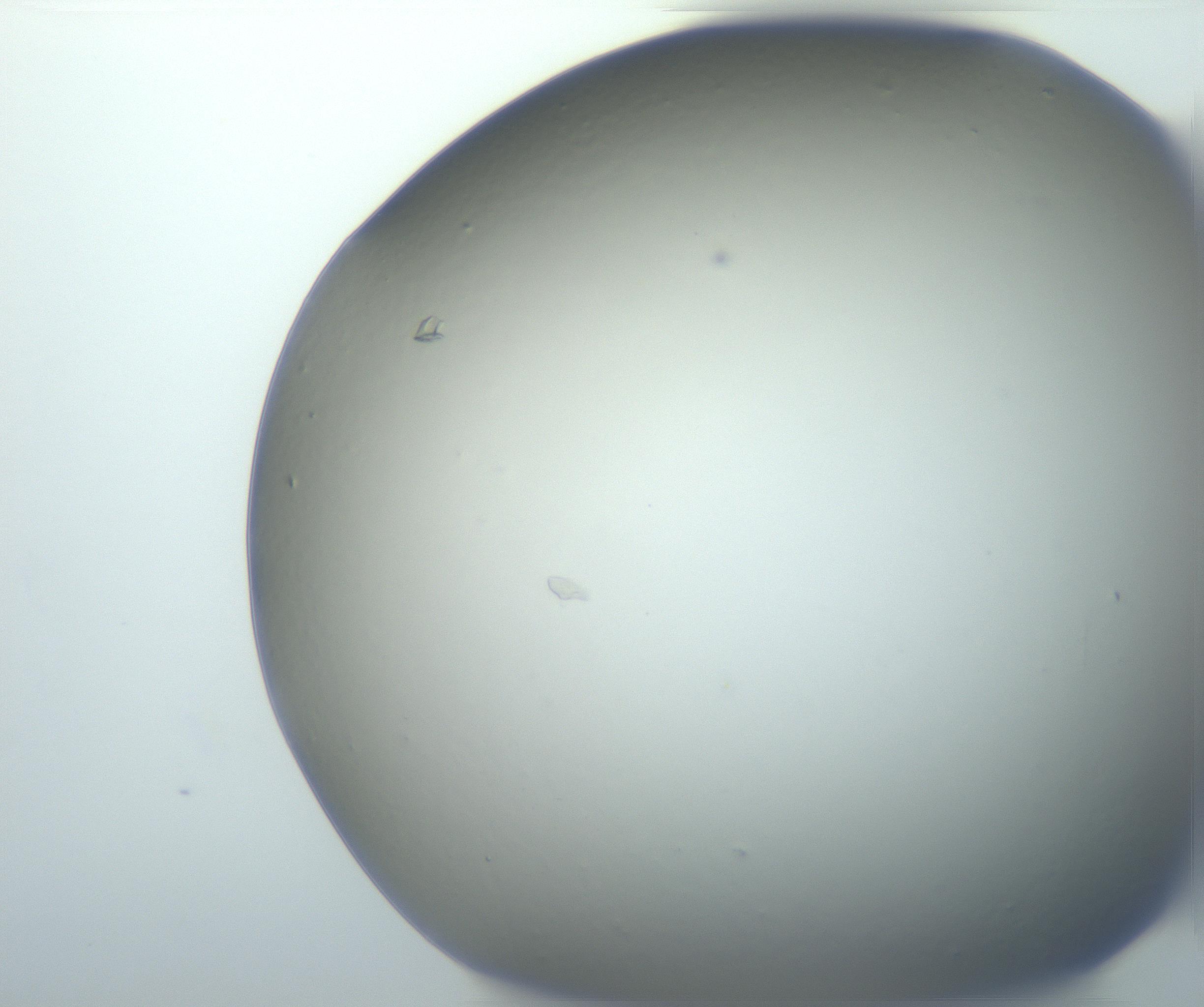 RI01_03_000_0212_Proj1_Clon1_MC_0000MC102801_006_161013_03_02_01_00_99_002_001_RAI.jpg