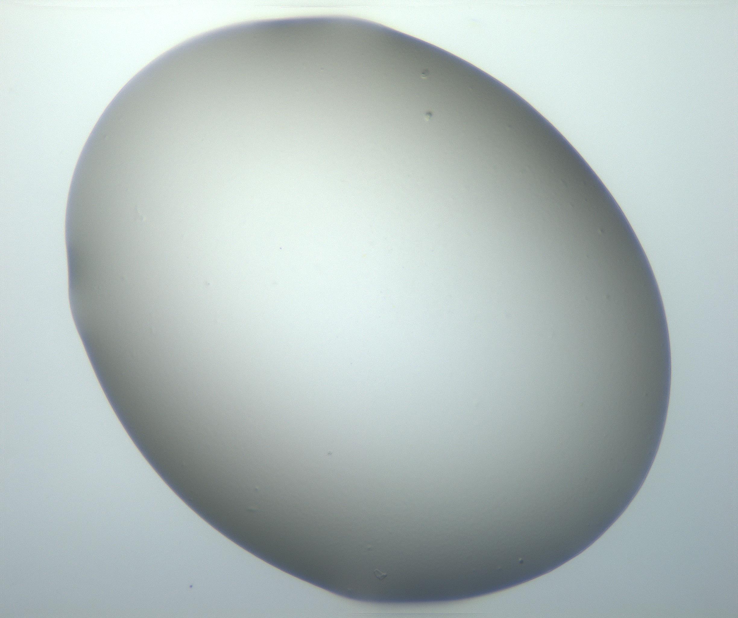 RI01_03_000_0212_Proj1_Clon1_MC_0000MC102801_006_161013_03_03_01_00_99_002_001_RAI.jpg