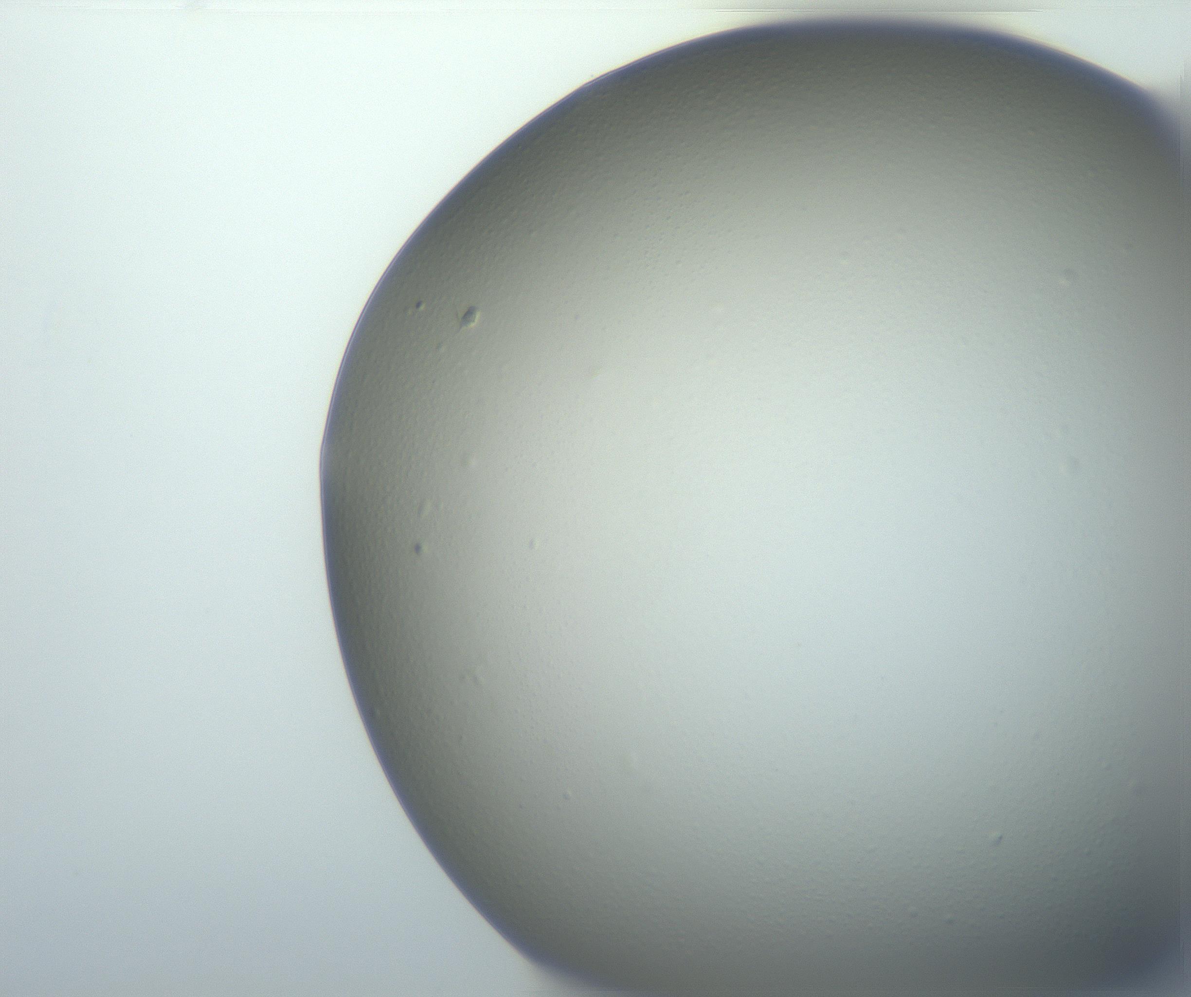 RI01_03_000_0212_Proj1_Clon1_MC_0000MC102801_006_161013_03_03_02_00_99_002_001_RAI.jpg