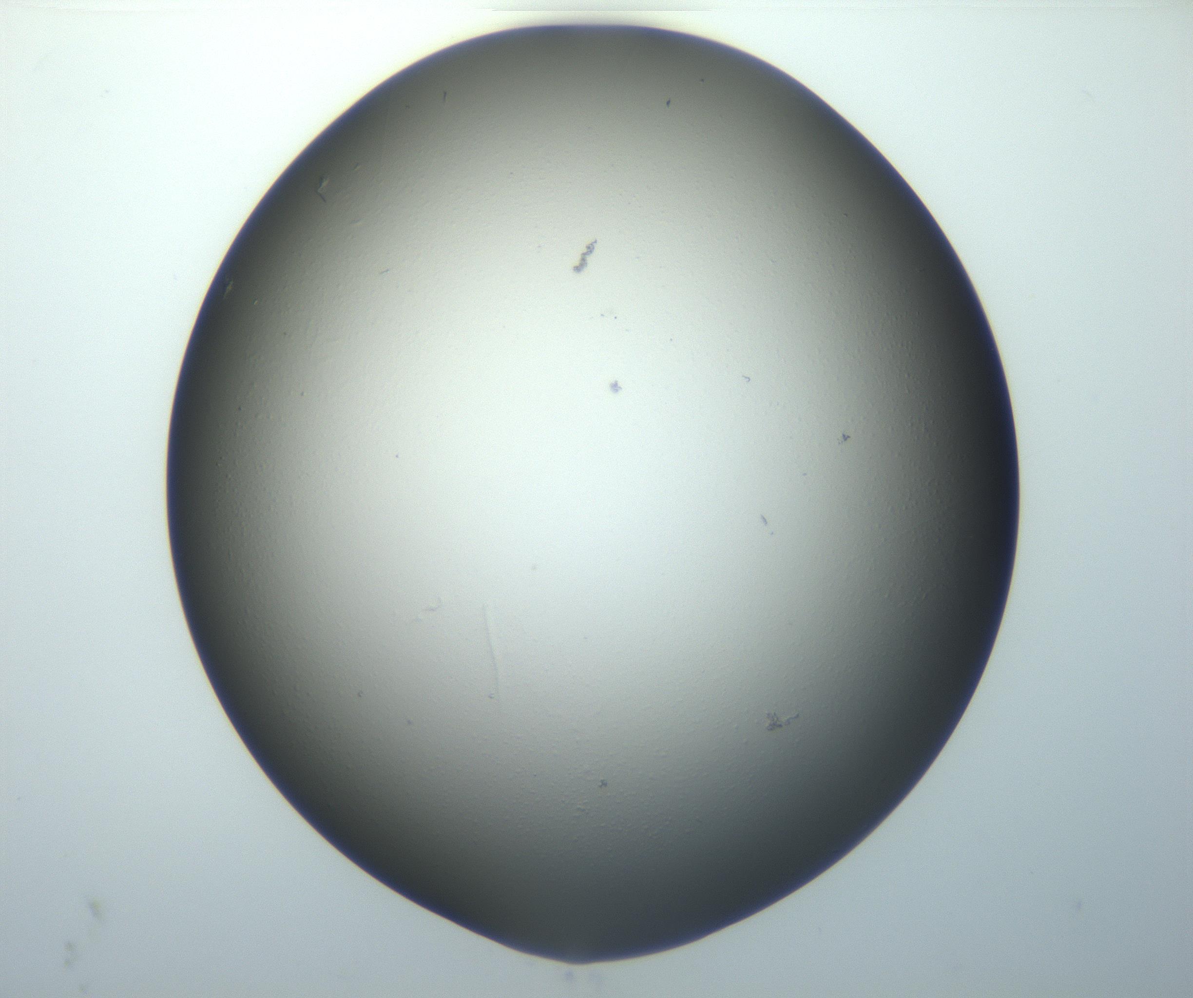 RI01_03_000_0212_Proj1_Clon1_MC_0000MC102801_006_161013_03_04_01_00_99_002_001_RAI.jpg