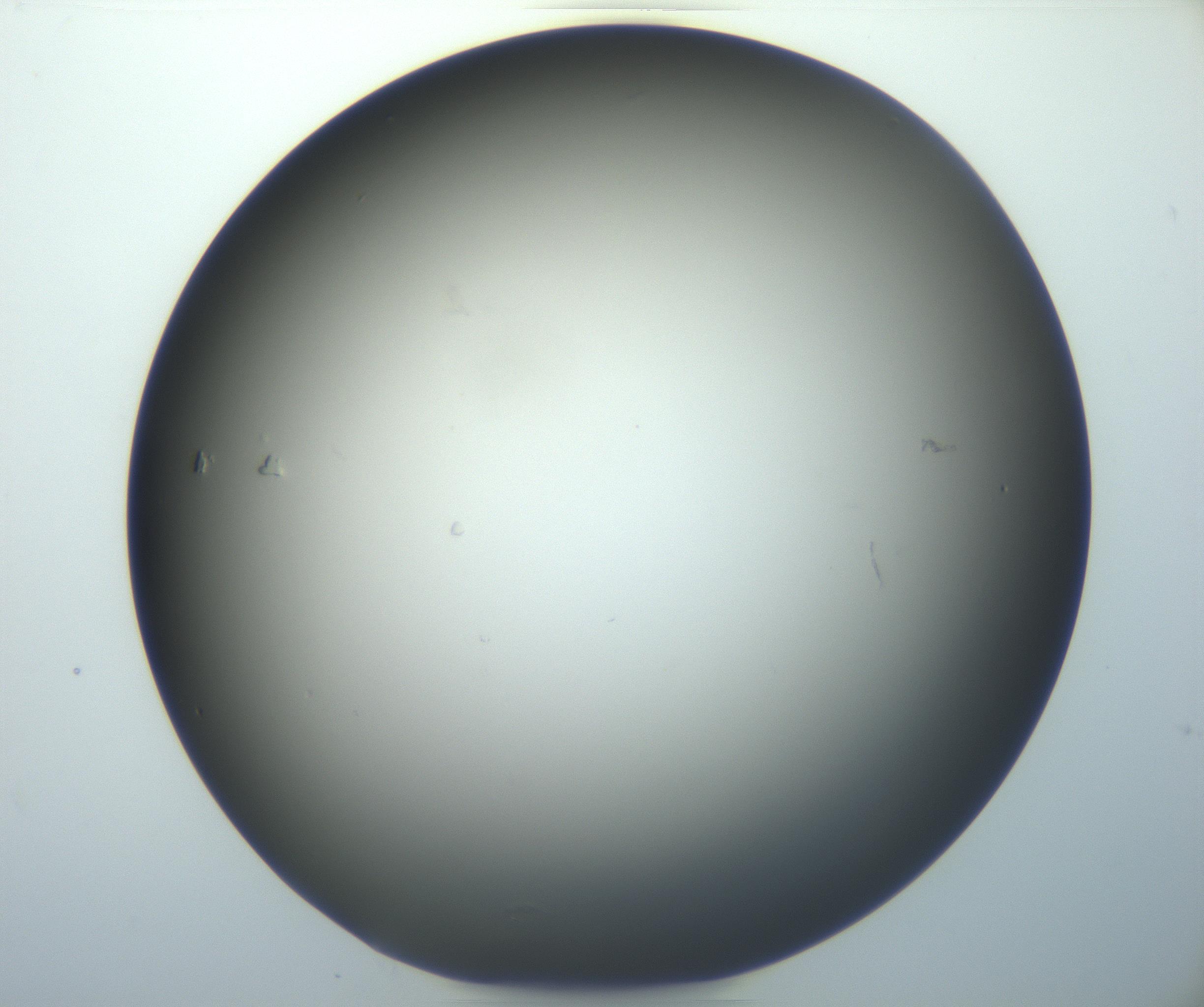 RI01_03_000_0212_Proj1_Clon1_MC_0000MC102801_006_161013_03_04_02_00_99_002_001_RAI.jpg