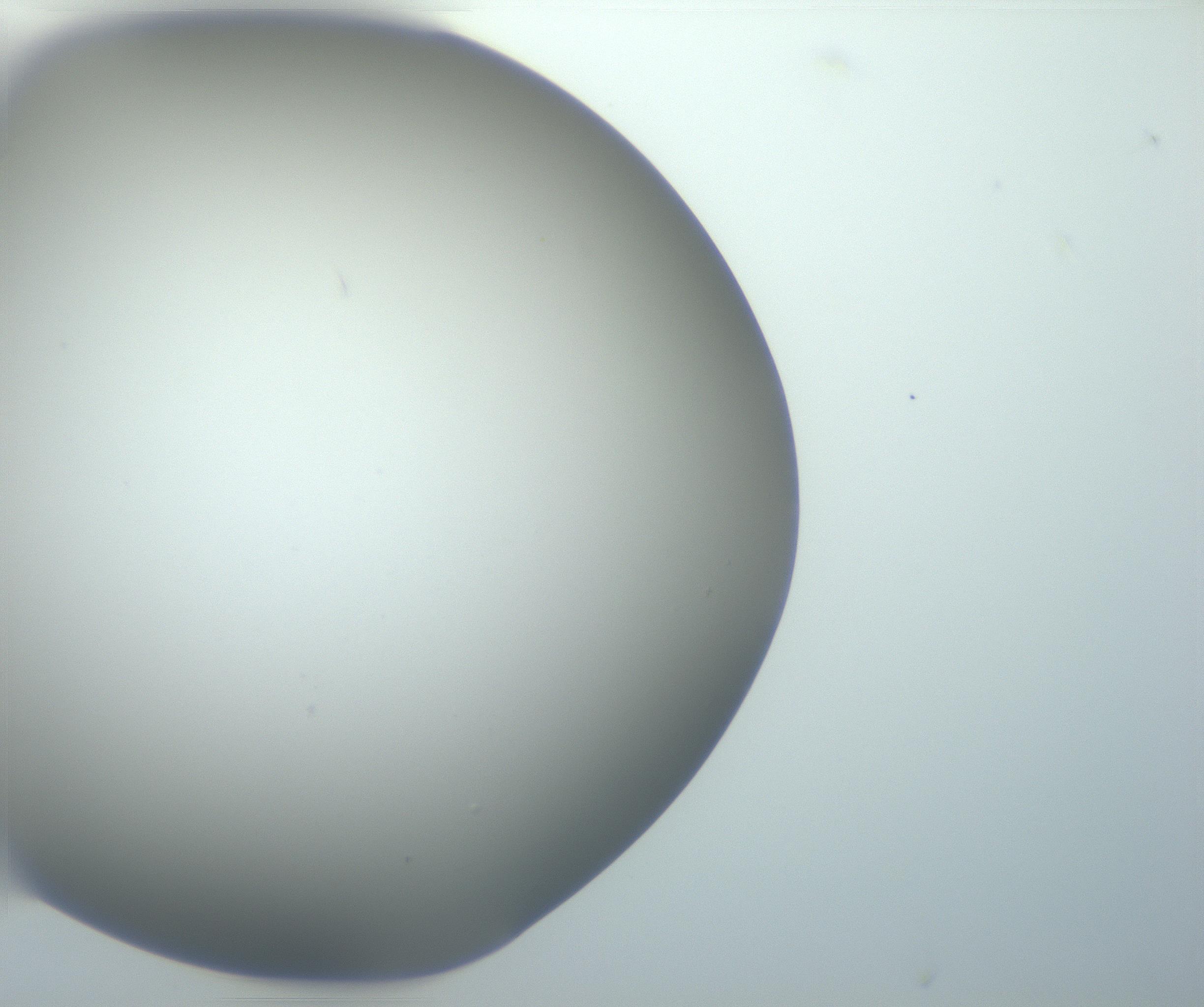 RI01_03_000_0212_Proj1_Clon1_MC_0000MC102801_006_161013_03_05_01_00_99_002_001_RAI.jpg