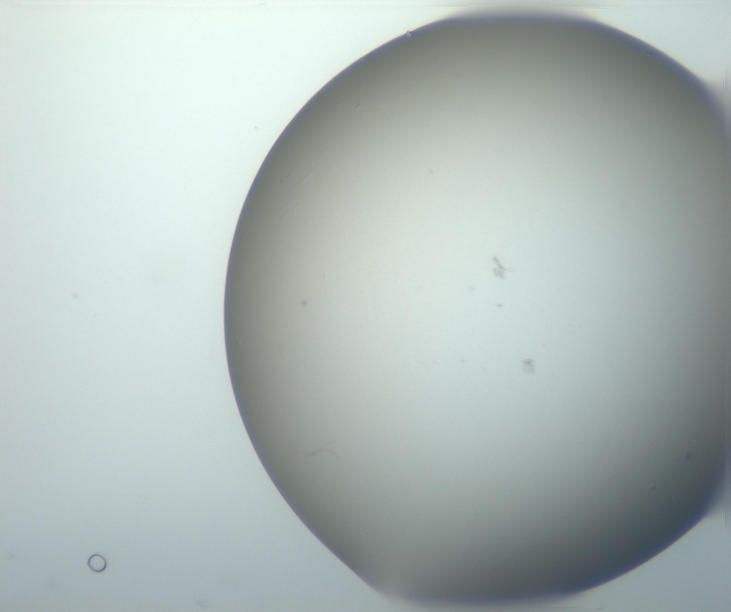RI01_03_000_0212_Proj1_Clon1_MC_0000MC102801_006_161013_03_05_02_00_99_002_001_RAI.jpg
