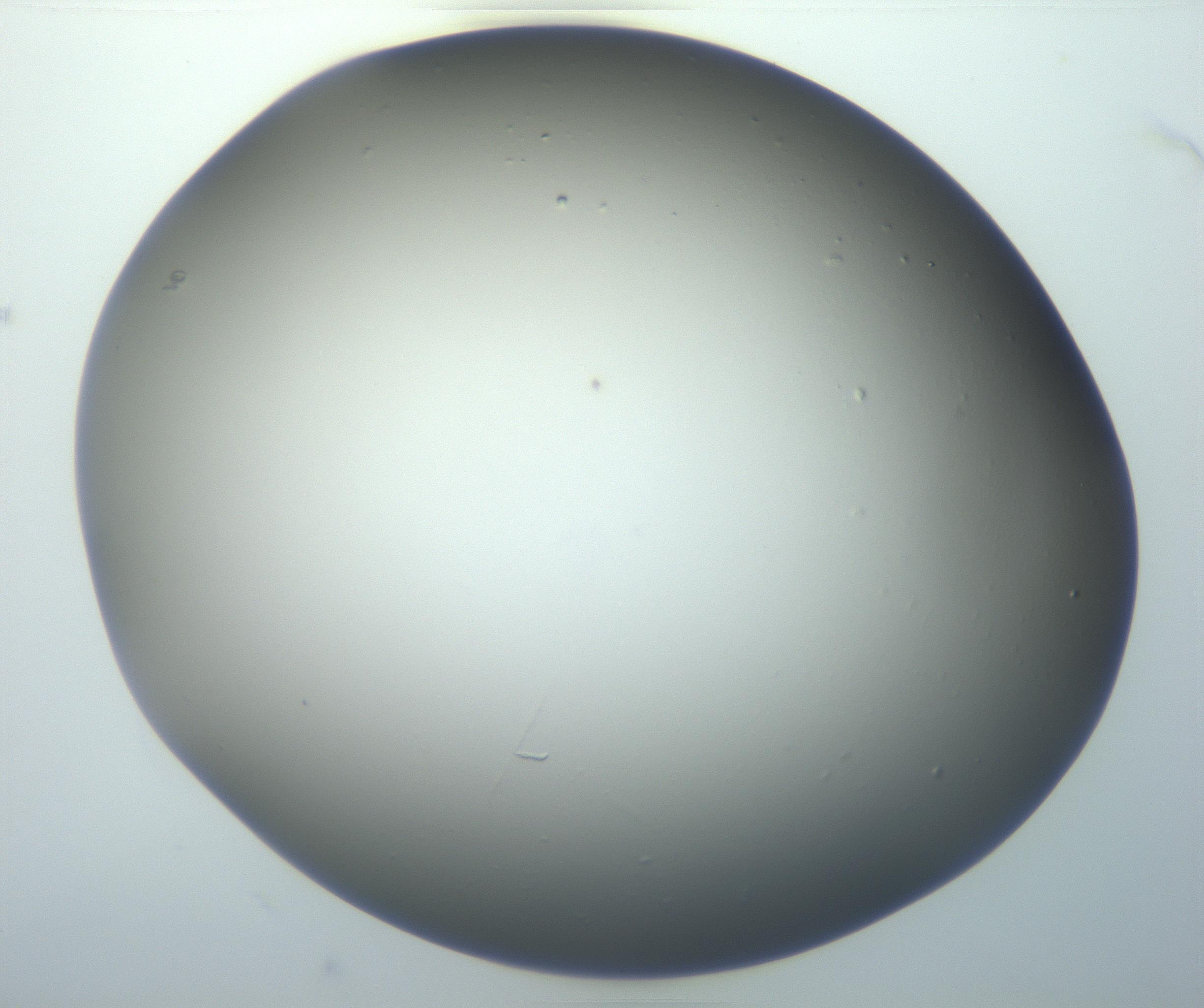 RI01_03_000_0212_Proj1_Clon1_MC_0000MC102801_006_161013_03_06_01_00_99_002_001_RAI.jpg