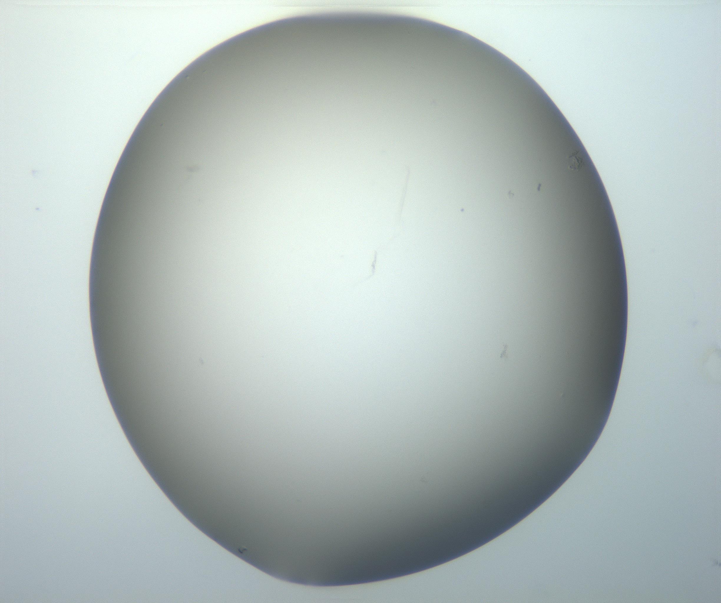 RI01_03_000_0212_Proj1_Clon1_MC_0000MC102801_006_161013_03_06_02_00_99_002_001_RAI.jpg