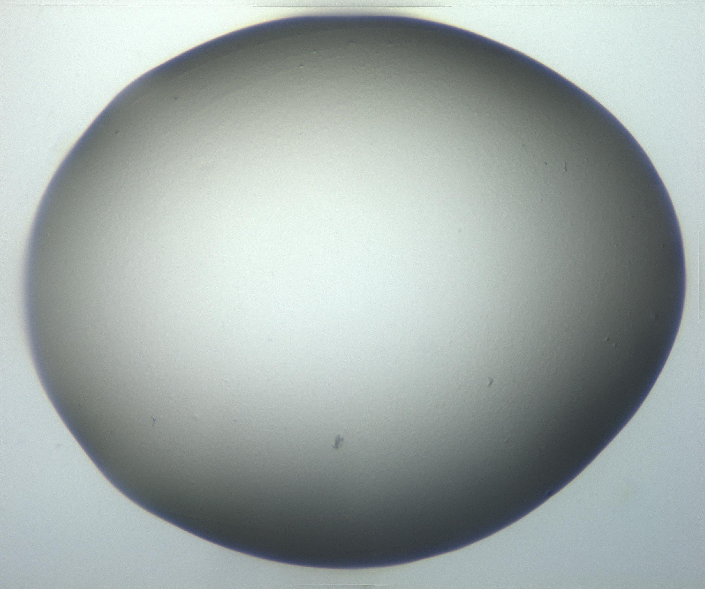 RI01_03_000_0212_Proj1_Clon1_MC_0000MC102801_006_161013_03_08_01_00_99_002_001_RAI.jpg