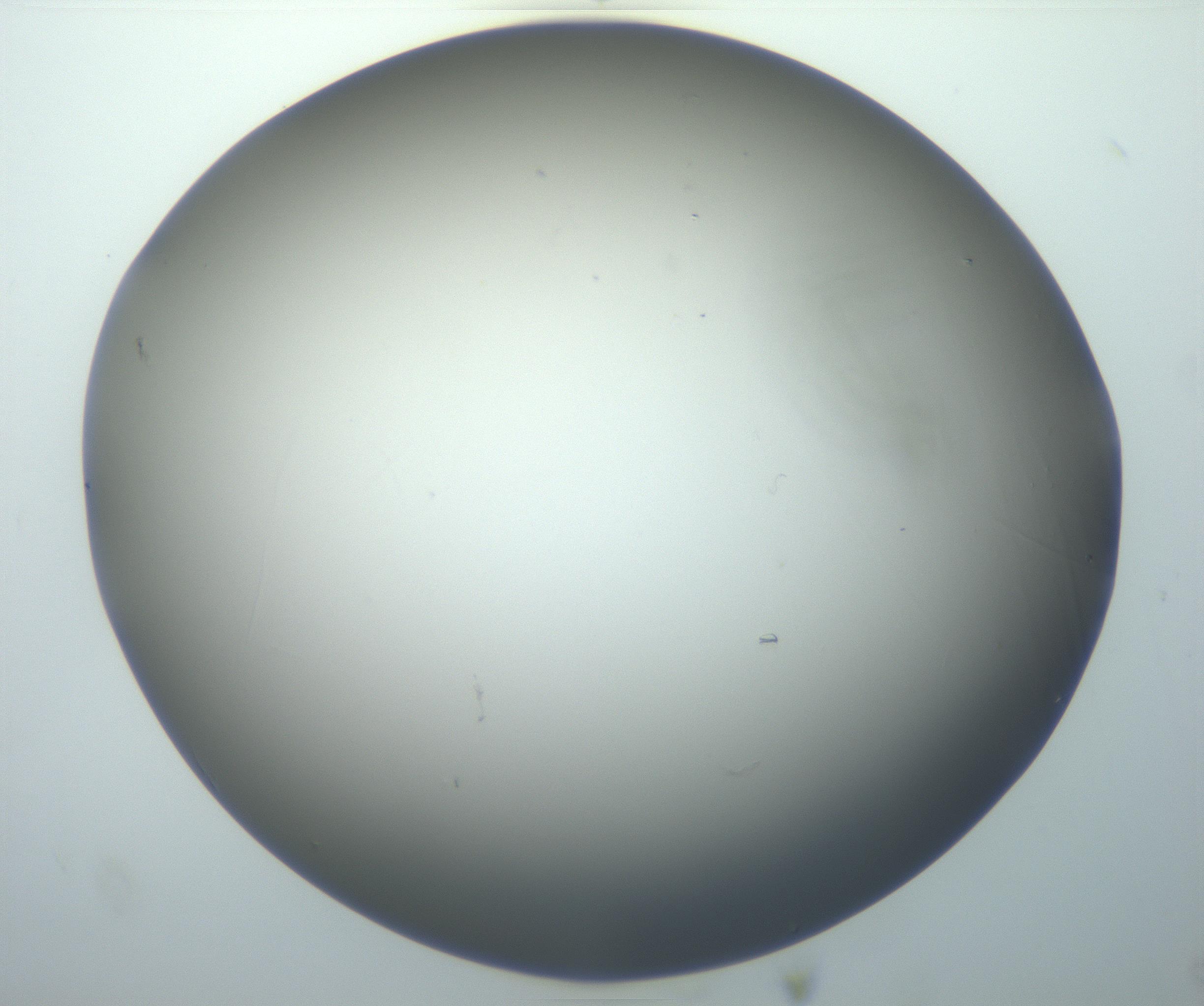RI01_03_000_0212_Proj1_Clon1_MC_0000MC102801_006_161013_03_08_02_00_99_002_001_RAI.jpg
