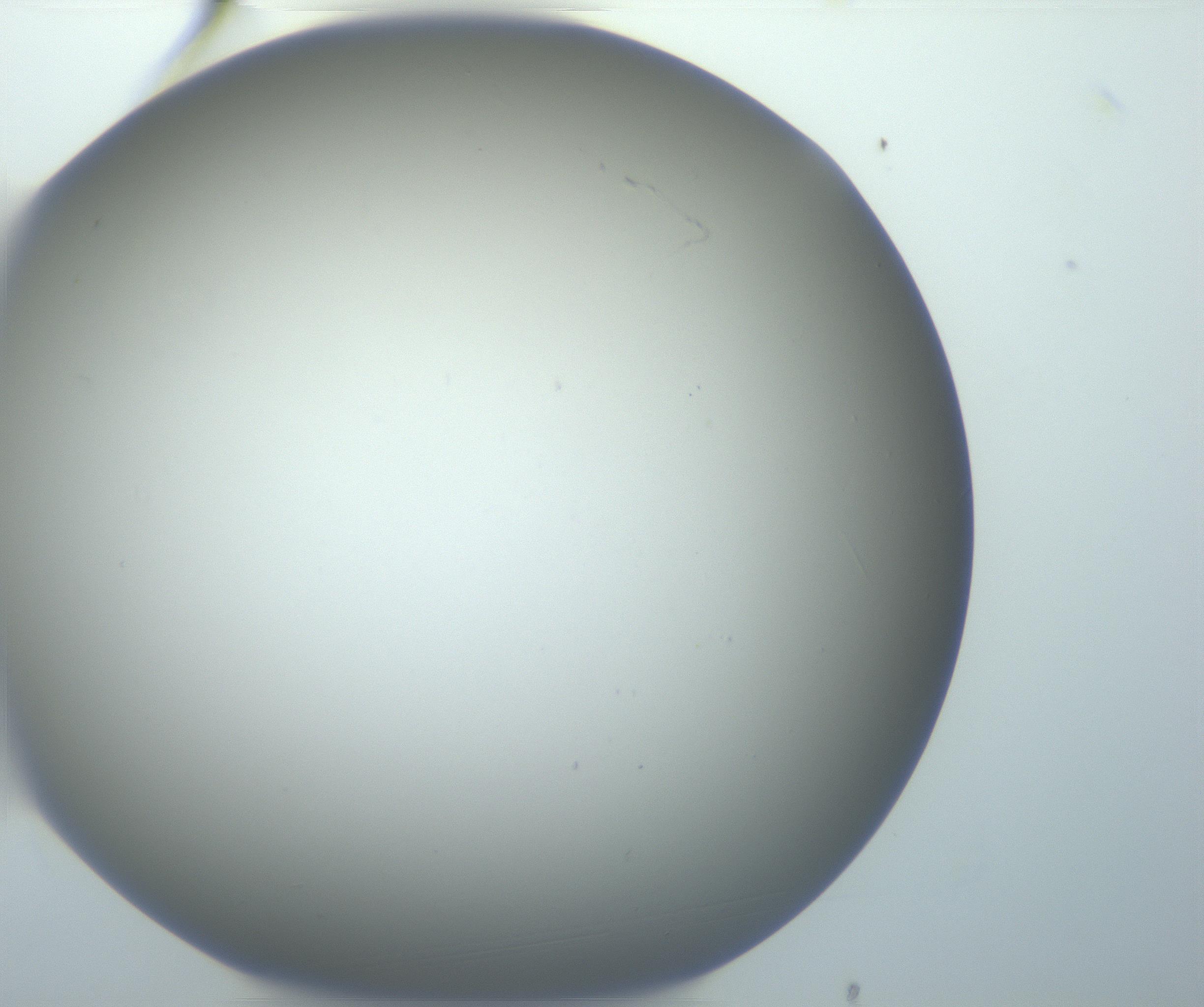 RI01_03_000_0212_Proj1_Clon1_MC_0000MC102801_006_161013_04_01_01_00_99_002_001_RAI.jpg