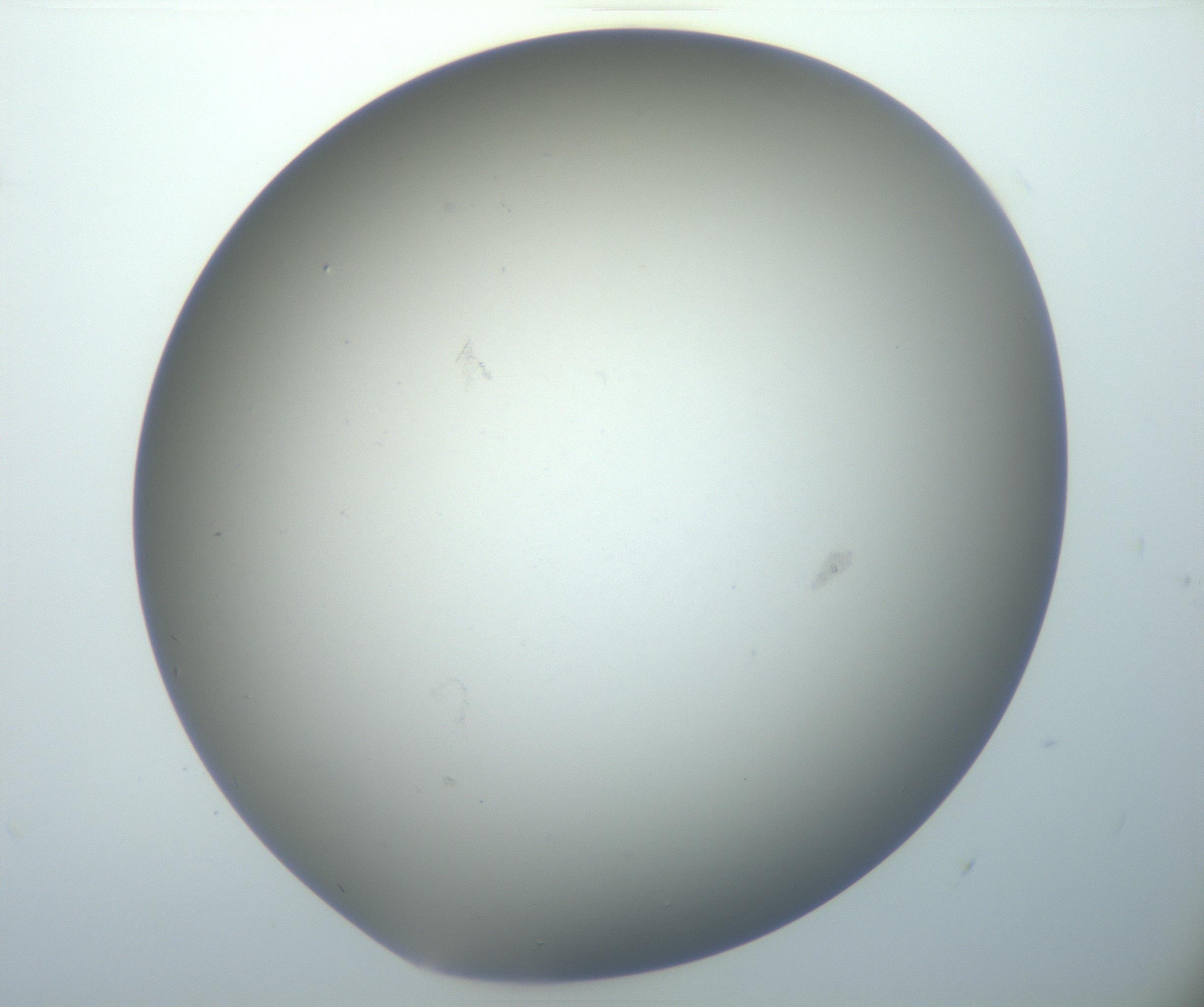 RI01_03_000_0212_Proj1_Clon1_MC_0000MC102801_006_161013_04_01_02_00_99_002_001_RAI.jpg
