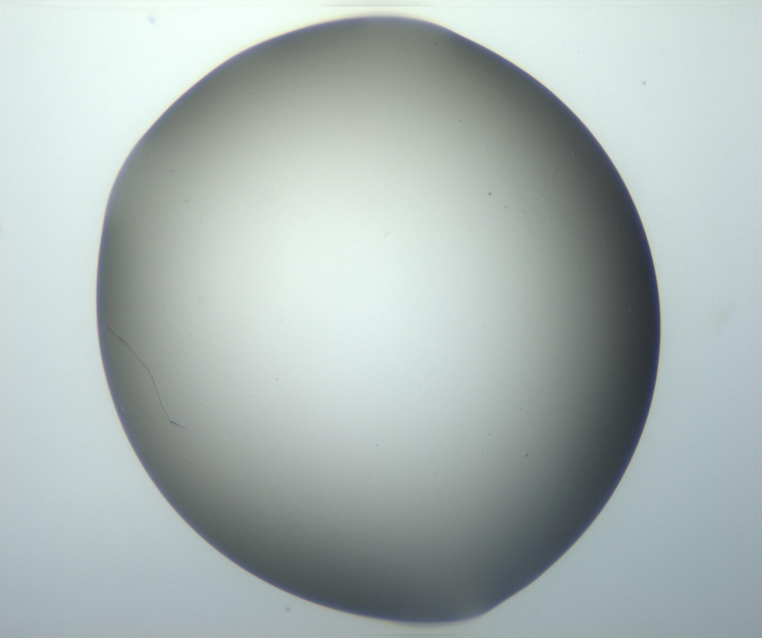 RI01_03_000_0212_Proj1_Clon1_MC_0000MC102801_006_161013_04_03_01_00_99_002_001_RAI.jpg