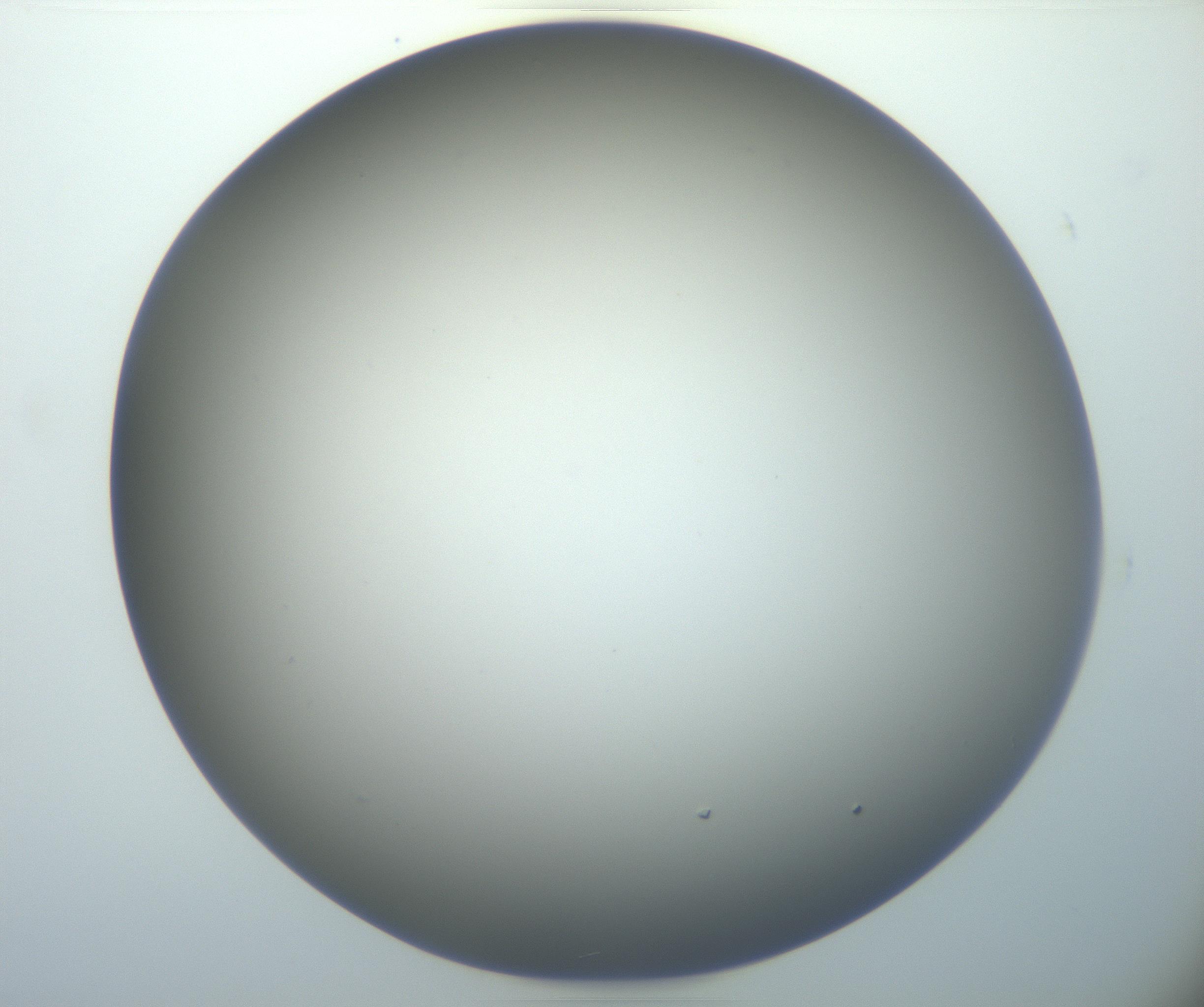 RI01_03_000_0212_Proj1_Clon1_MC_0000MC102801_006_161013_04_03_02_00_99_002_001_RAI.jpg