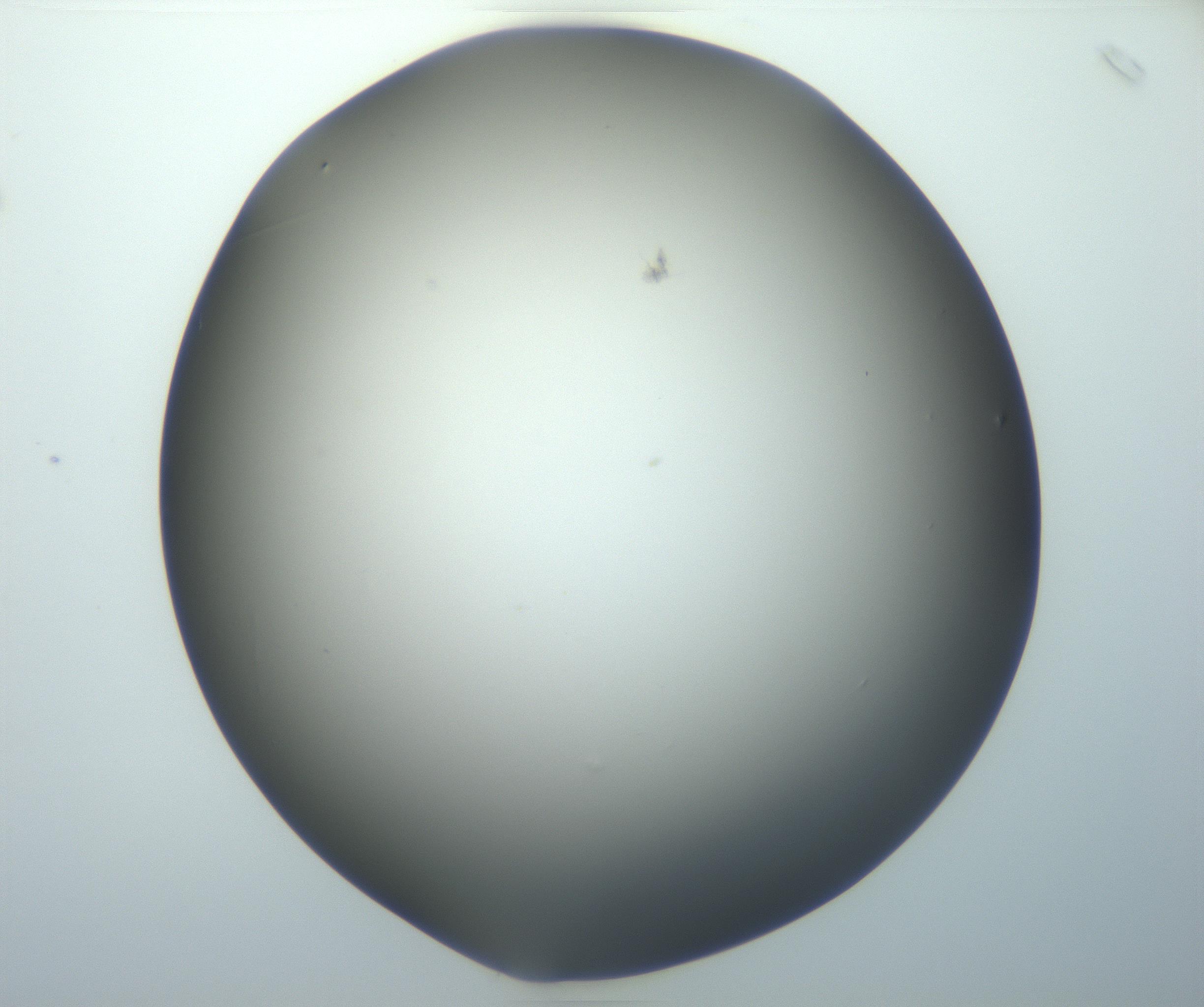 RI01_03_000_0212_Proj1_Clon1_MC_0000MC102801_006_161013_04_04_01_00_99_002_001_RAI.jpg