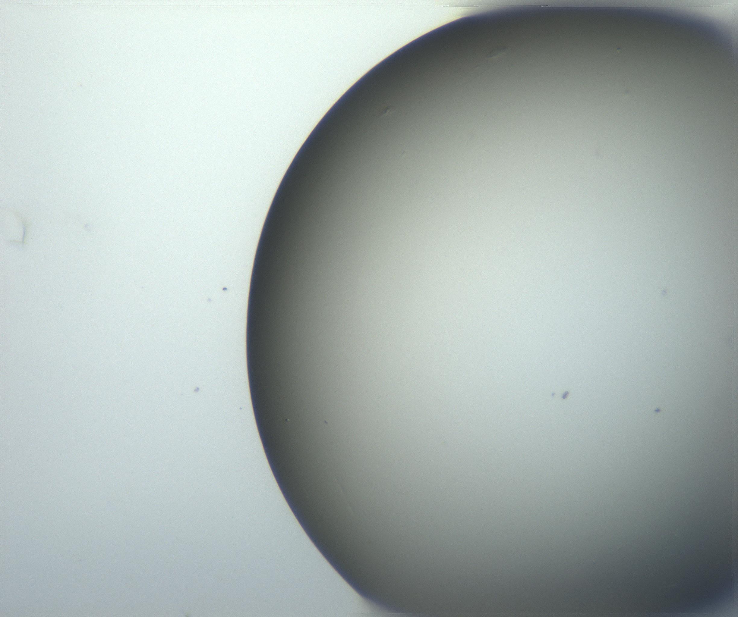 RI01_03_000_0212_Proj1_Clon1_MC_0000MC102801_006_161013_04_04_02_00_99_002_001_RAI.jpg