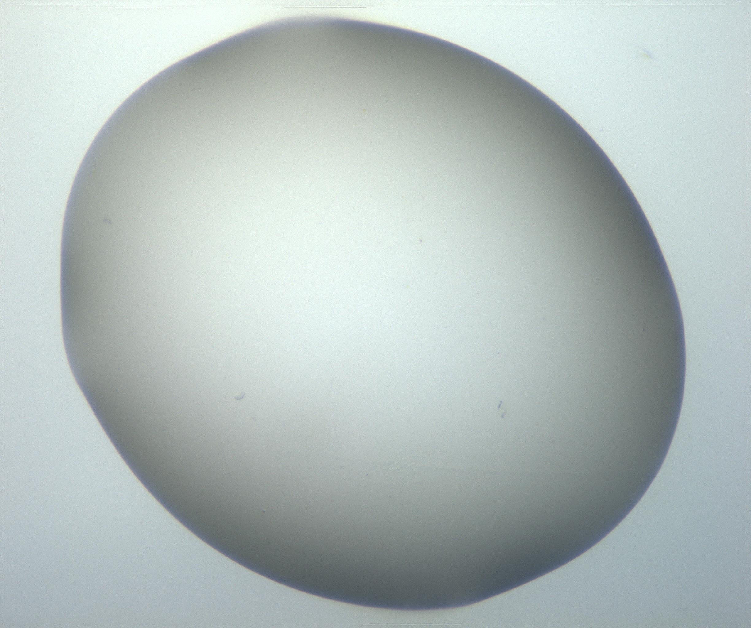 RI01_03_000_0212_Proj1_Clon1_MC_0000MC102801_006_161013_04_05_01_00_99_002_001_RAI.jpg