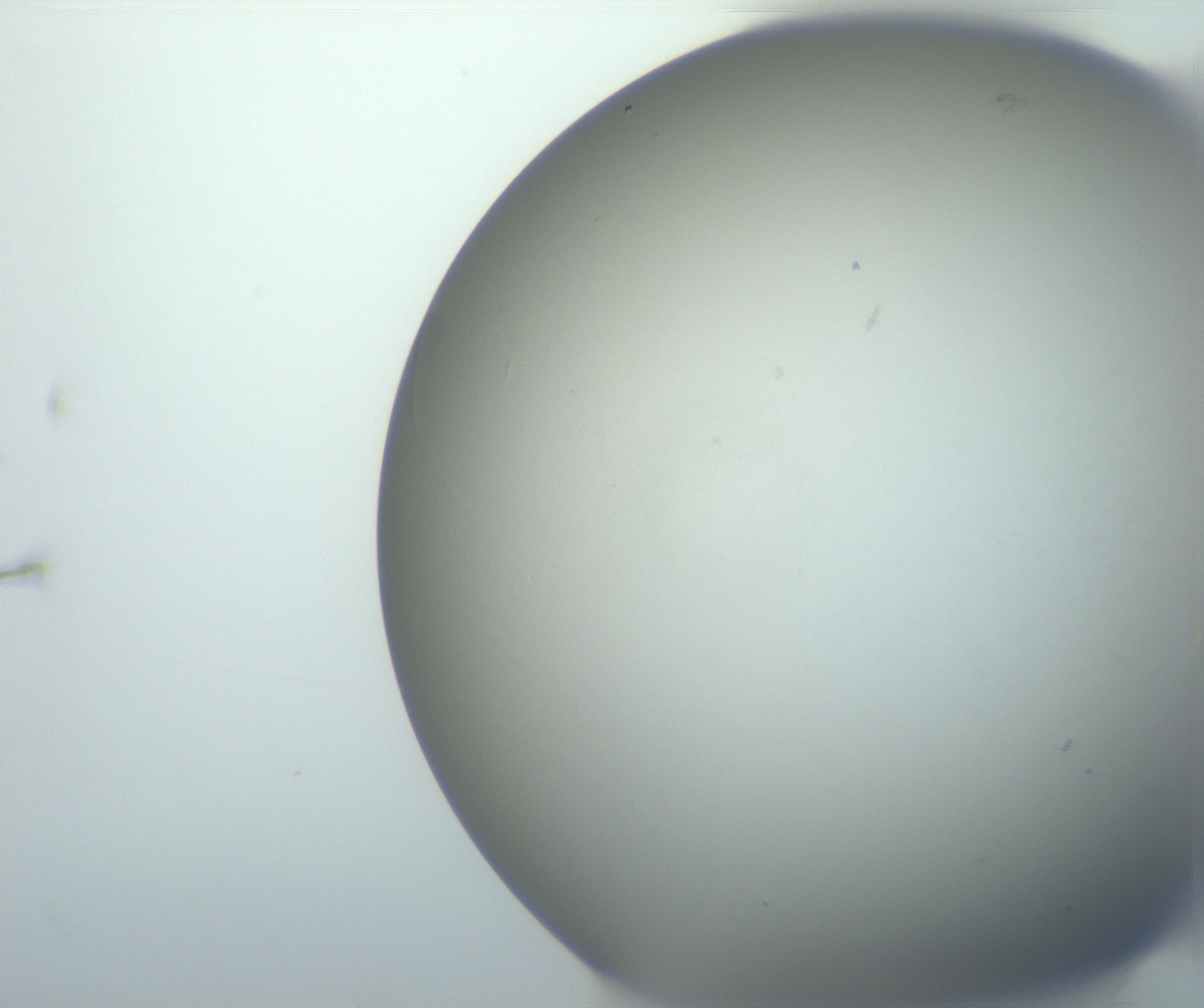 RI01_03_000_0212_Proj1_Clon1_MC_0000MC102801_006_161013_04_05_02_00_99_002_001_RAI.jpg