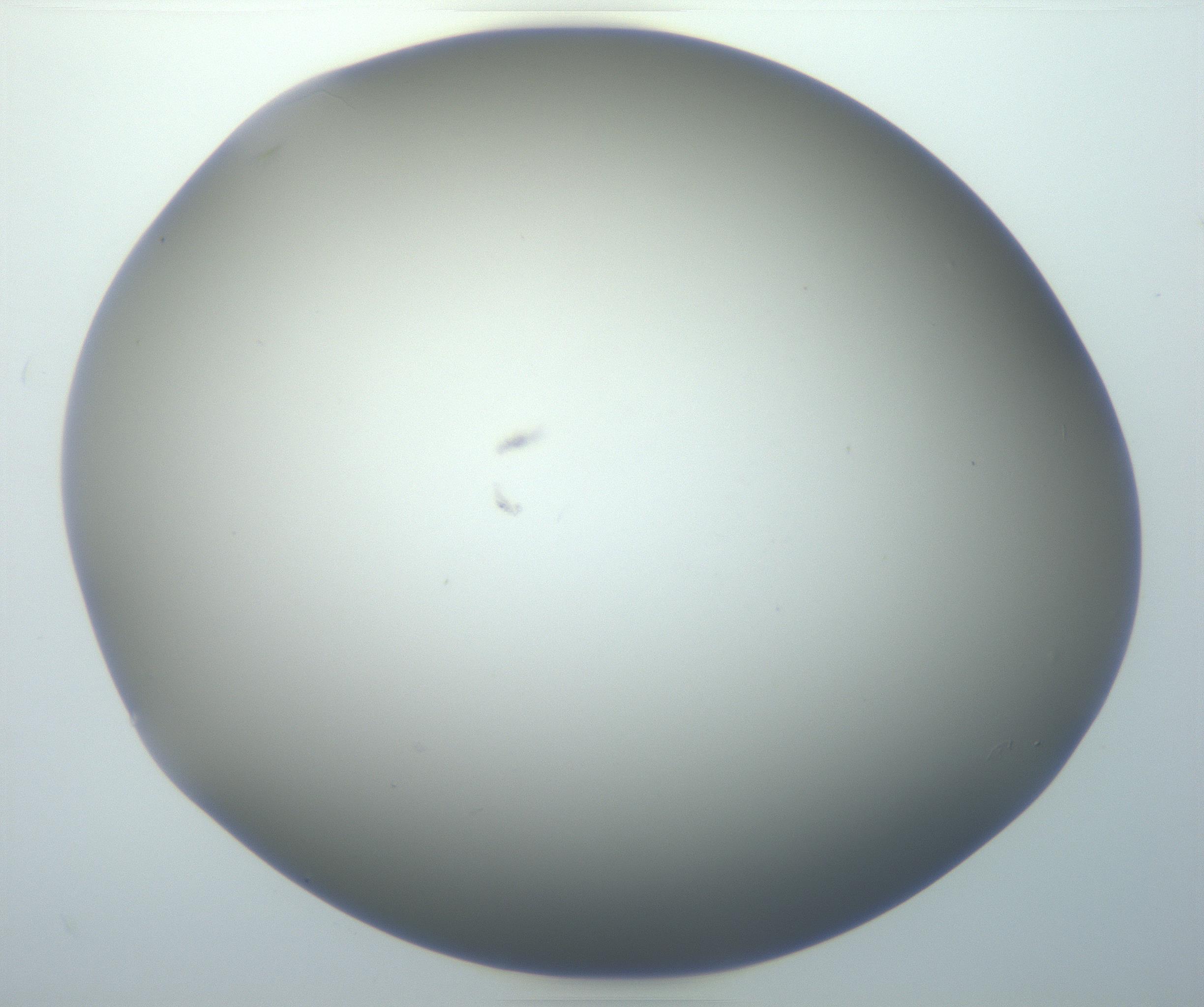 RI01_03_000_0212_Proj1_Clon1_MC_0000MC102801_006_161013_04_06_01_00_99_002_001_RAI.jpg