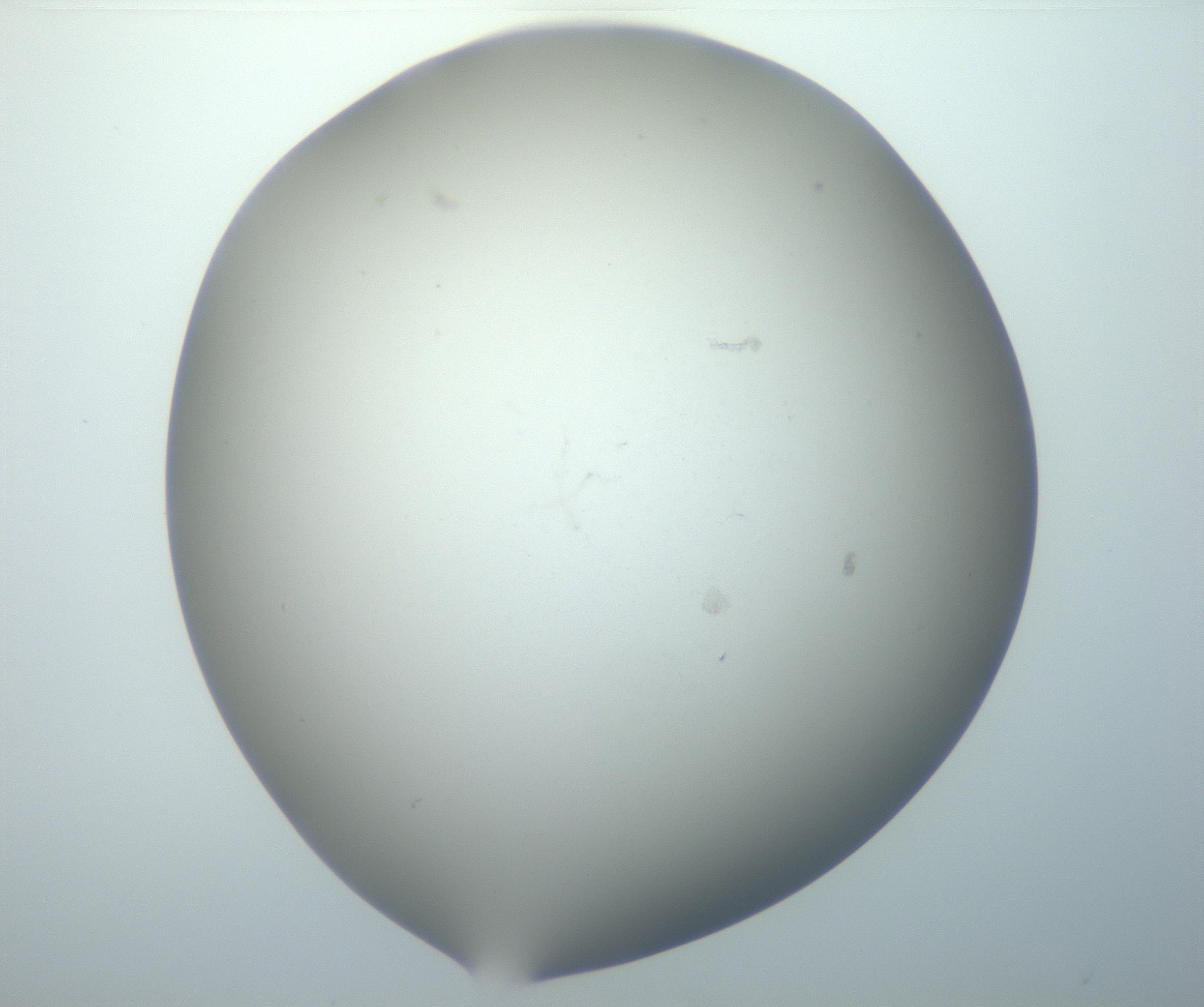 RI01_03_000_0212_Proj1_Clon1_MC_0000MC102801_006_161013_04_06_02_00_99_002_001_RAI.jpg