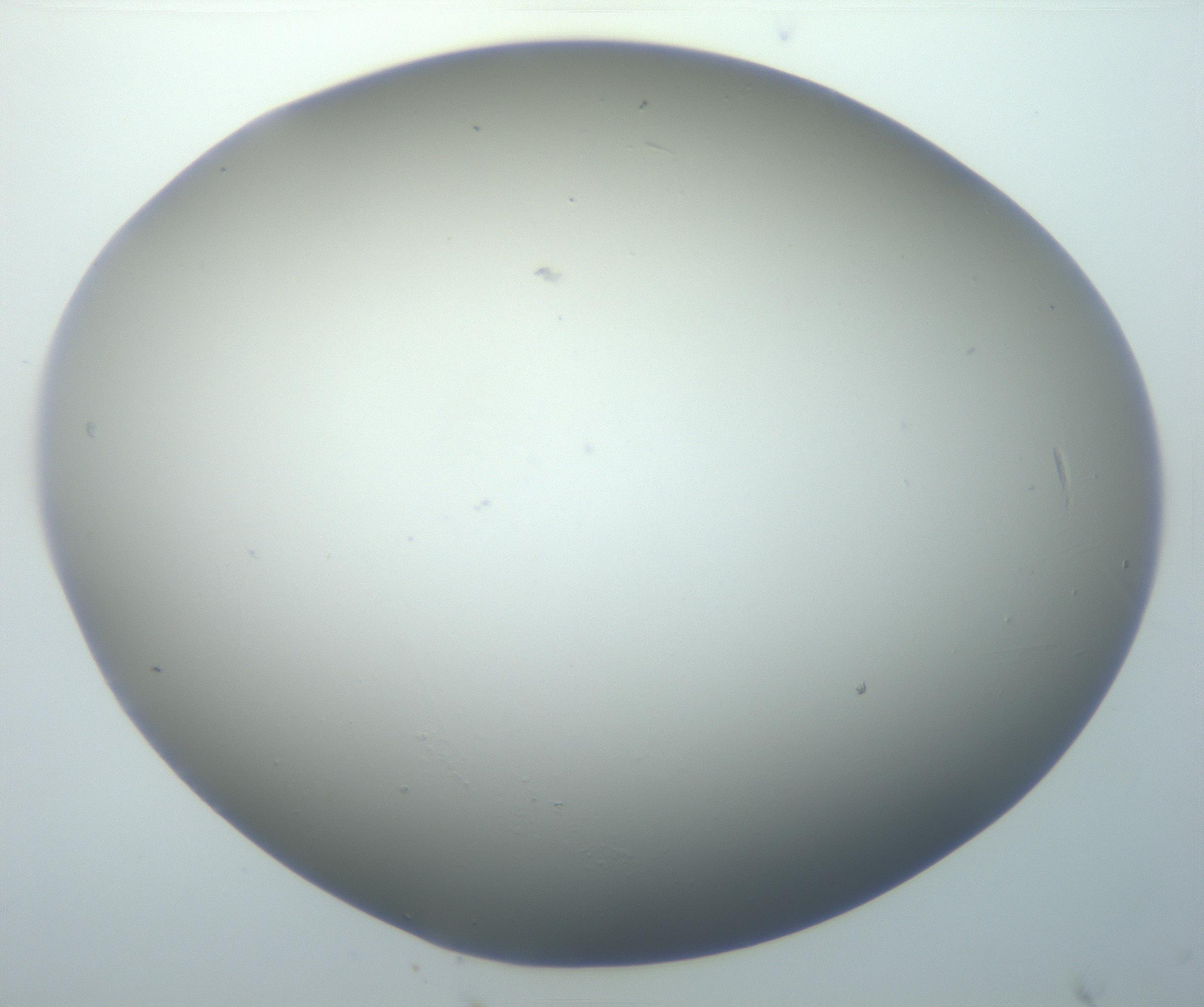RI01_03_000_0212_Proj1_Clon1_MC_0000MC102801_006_161013_04_07_01_00_99_002_001_RAI.jpg