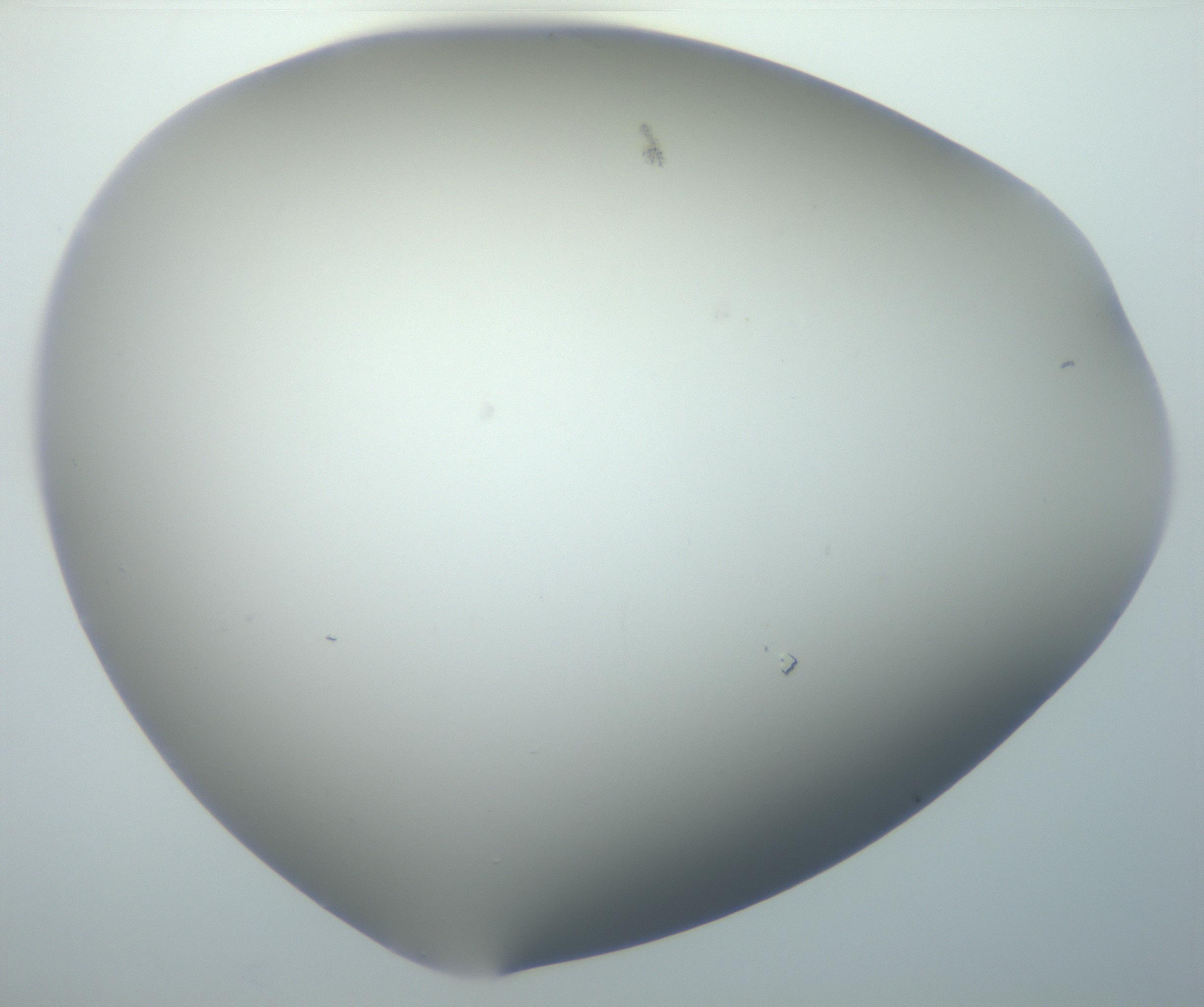 RI01_03_000_0212_Proj1_Clon1_MC_0000MC102801_006_161013_04_07_02_00_99_002_001_RAI.jpg