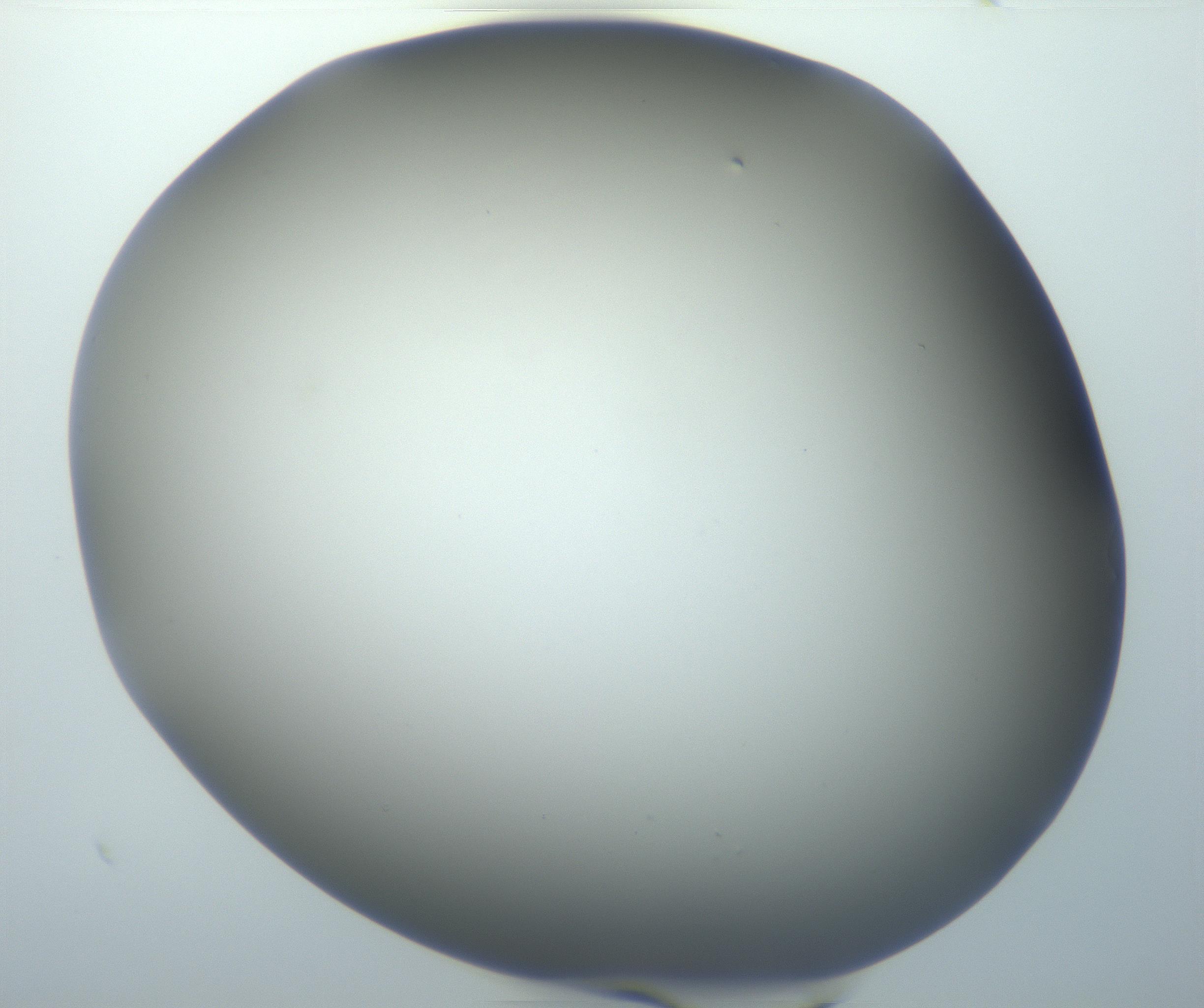 RI01_03_000_0212_Proj1_Clon1_MC_0000MC102801_006_161013_05_01_01_00_99_002_001_RAI.jpg